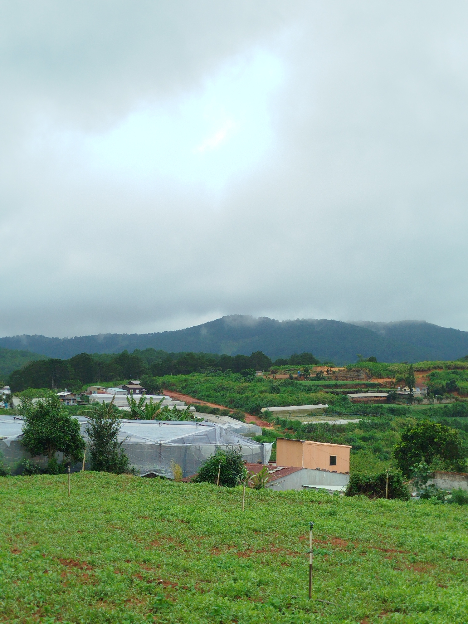 Farmland and tools on Da Lat's agricultural outskirts