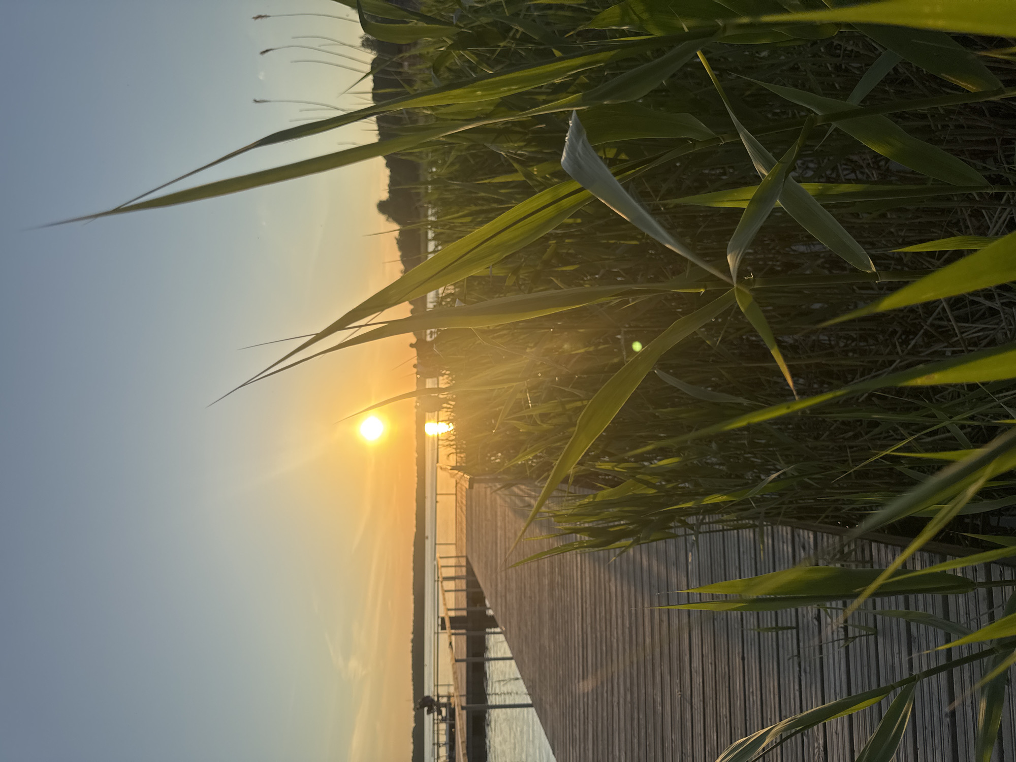 Golden hour sunset captured from wooden pier in Tallinn