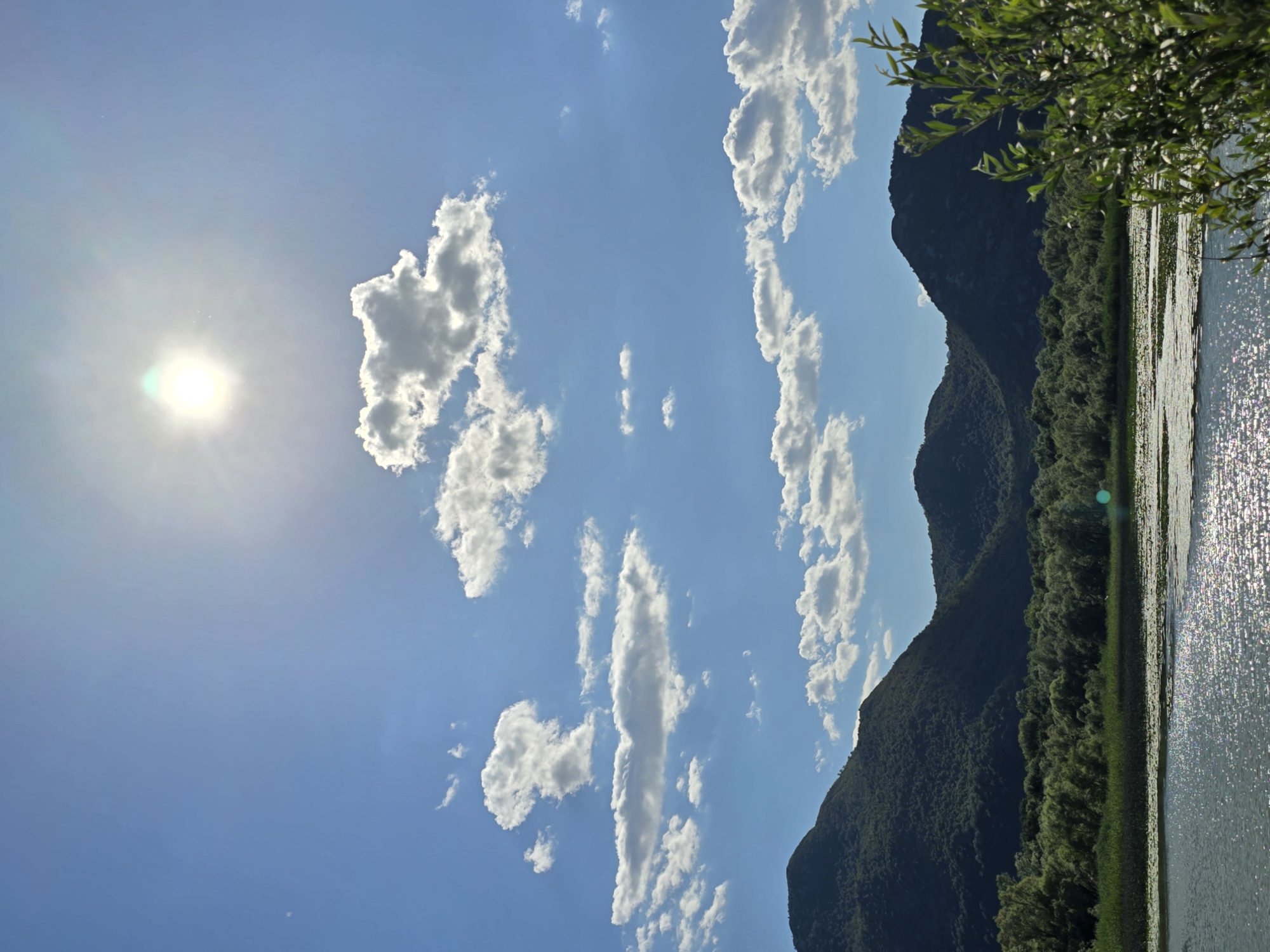 Afternoon on Skadar Lake, lily pads and mountain views