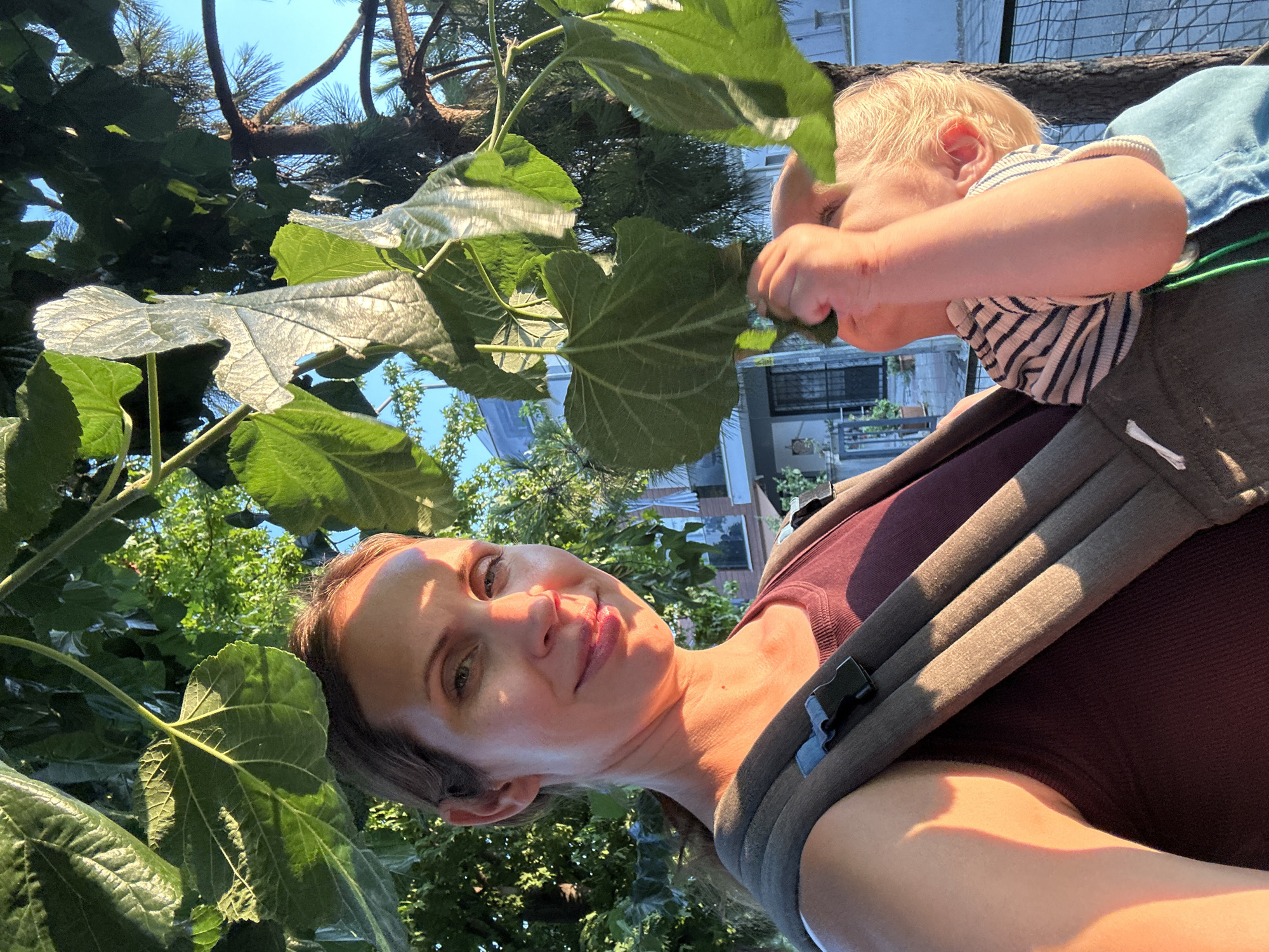 Golden hour stroll through Fethiye, kittens and all
