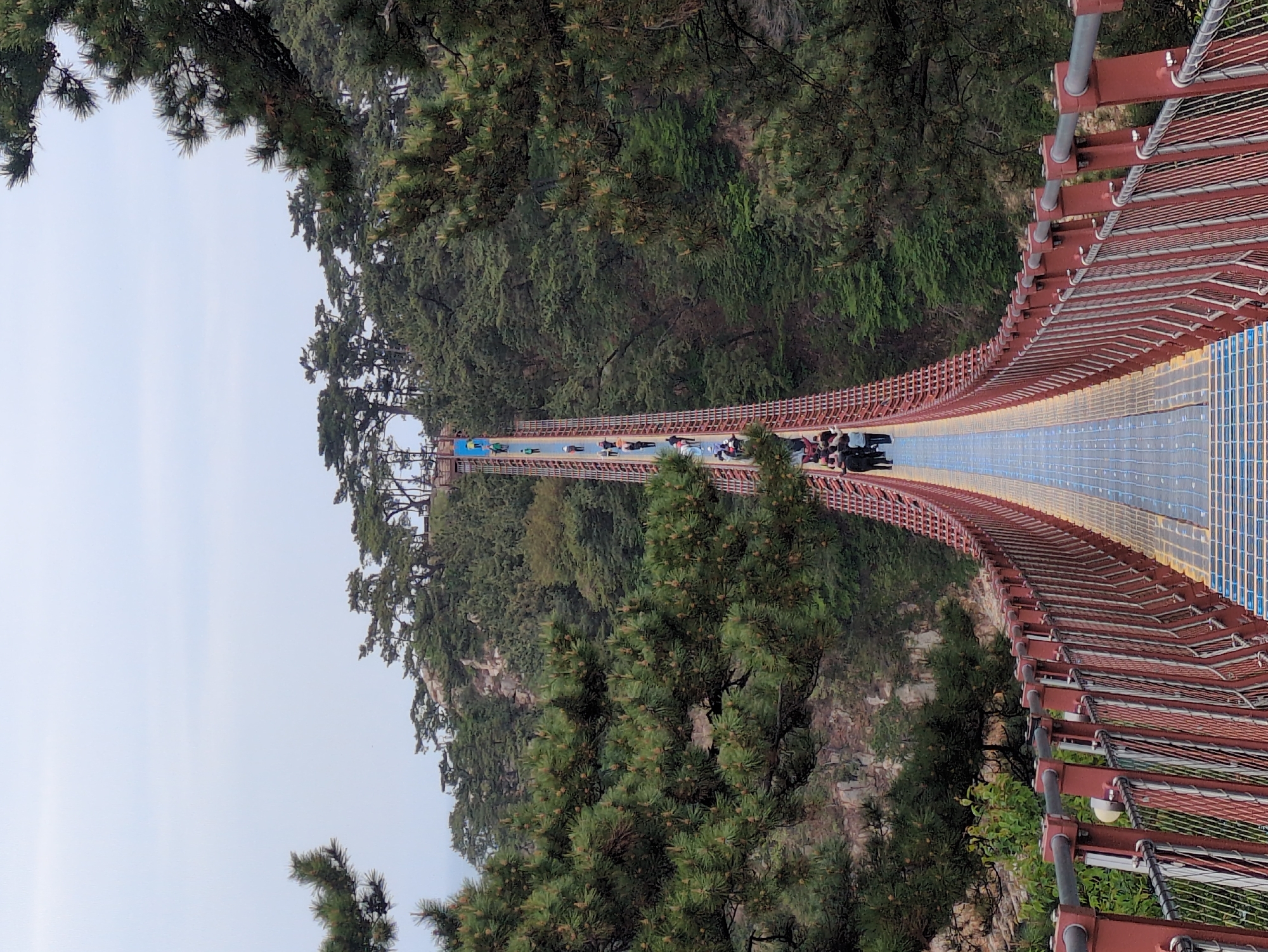 Morning documentation of Ulsan bridge and park scenery