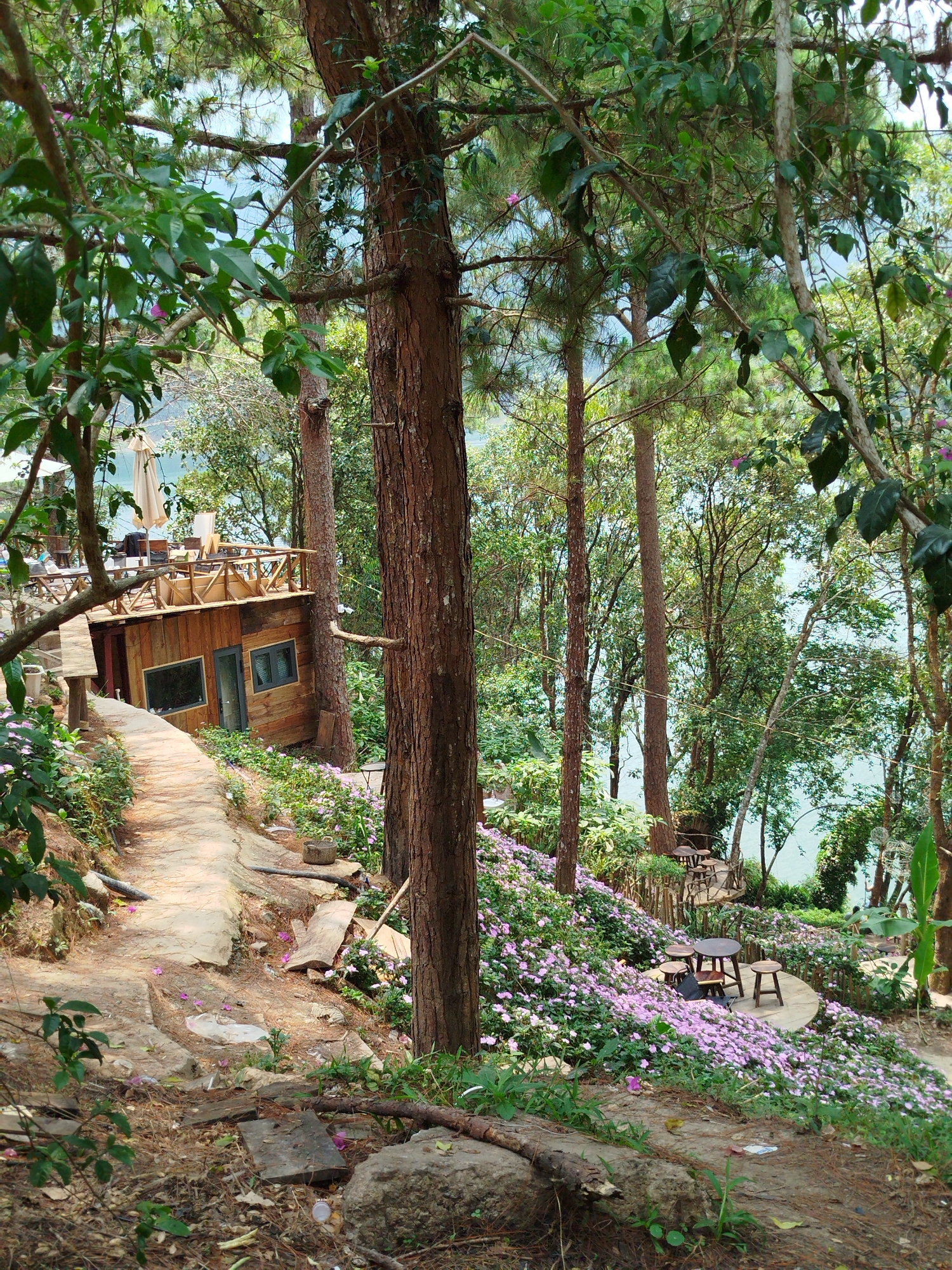 Morning lakeside scenes documented around Tuyen Lam Lake, Da Lat
