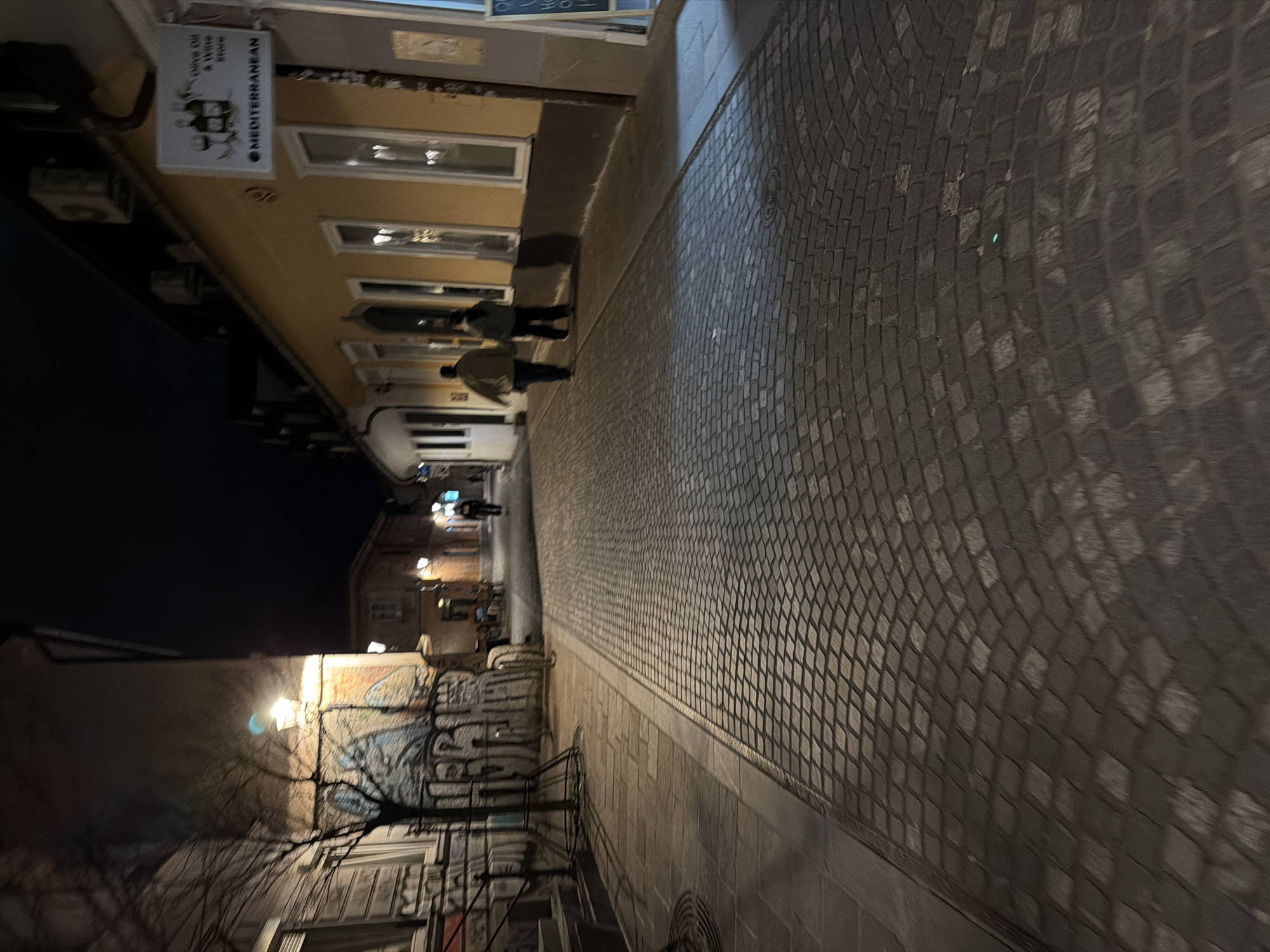 Evening street scenes captured across Ljubljana's illuminated city center