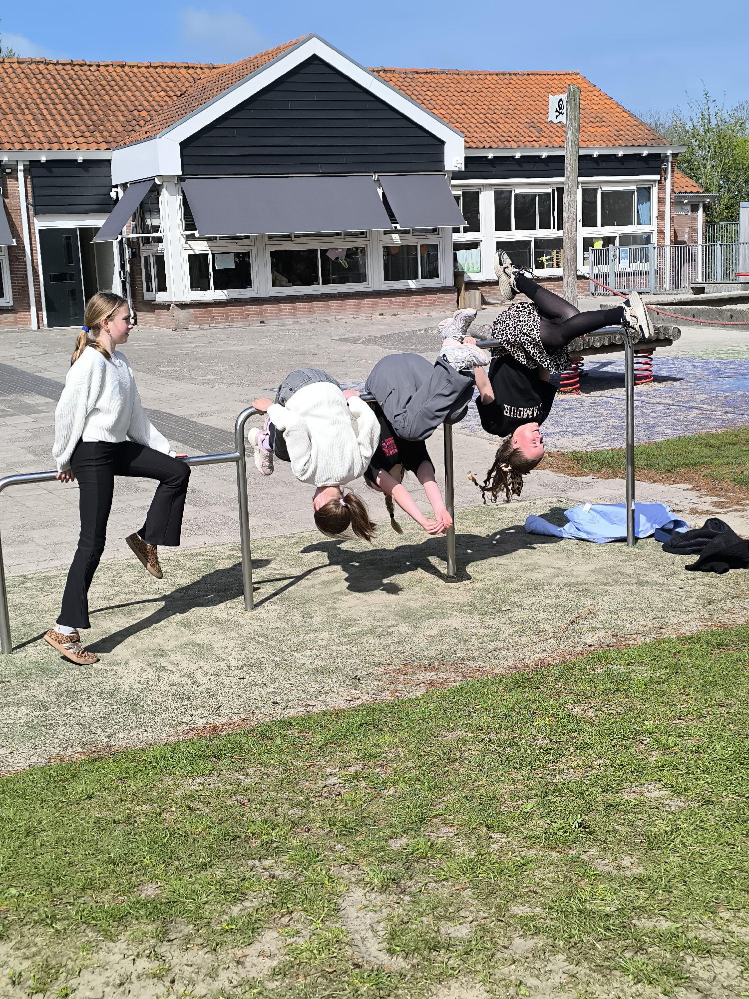 Spring morning scenes: children playing, sheep grazing in Alkmaar