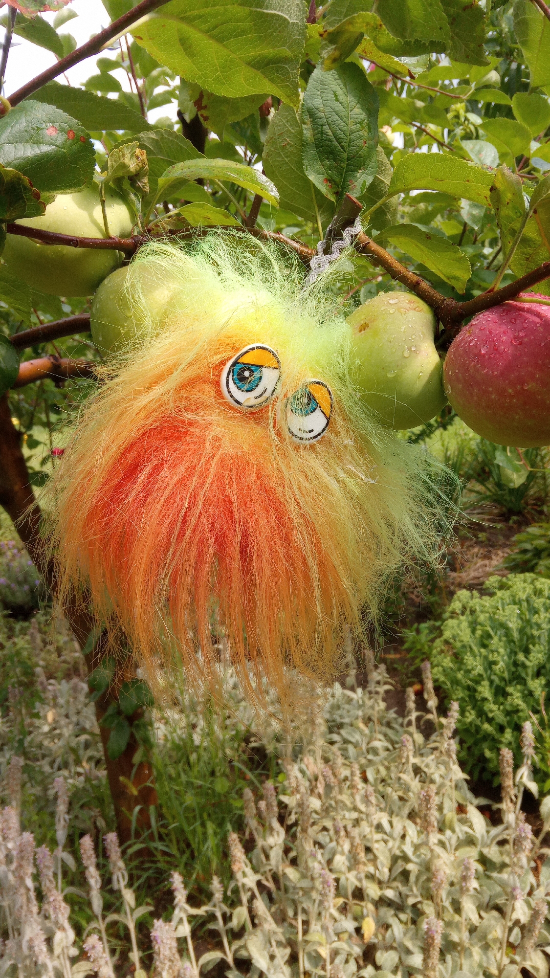 Summer afternoon in a Pereiaslav garden, apples and oddities