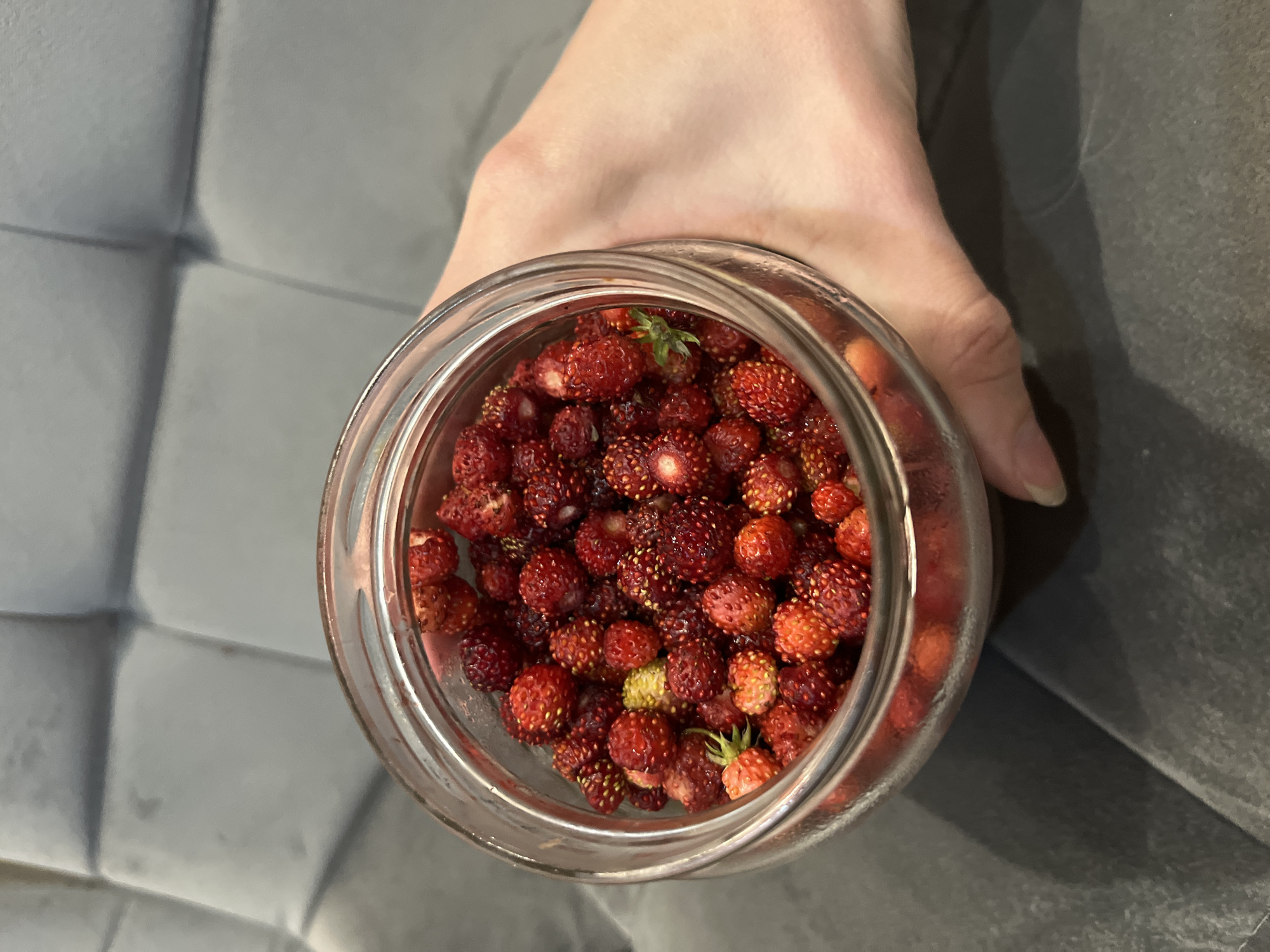 Jar of freshly picked wild strawberries in Chelyabinsk