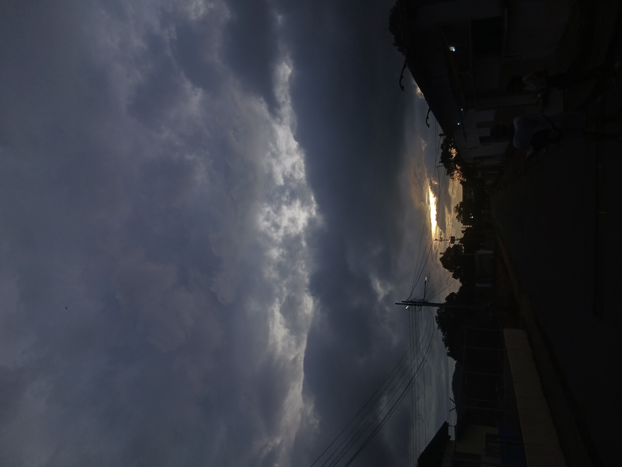 Evening documentation of Juan Griego streets and local flowers