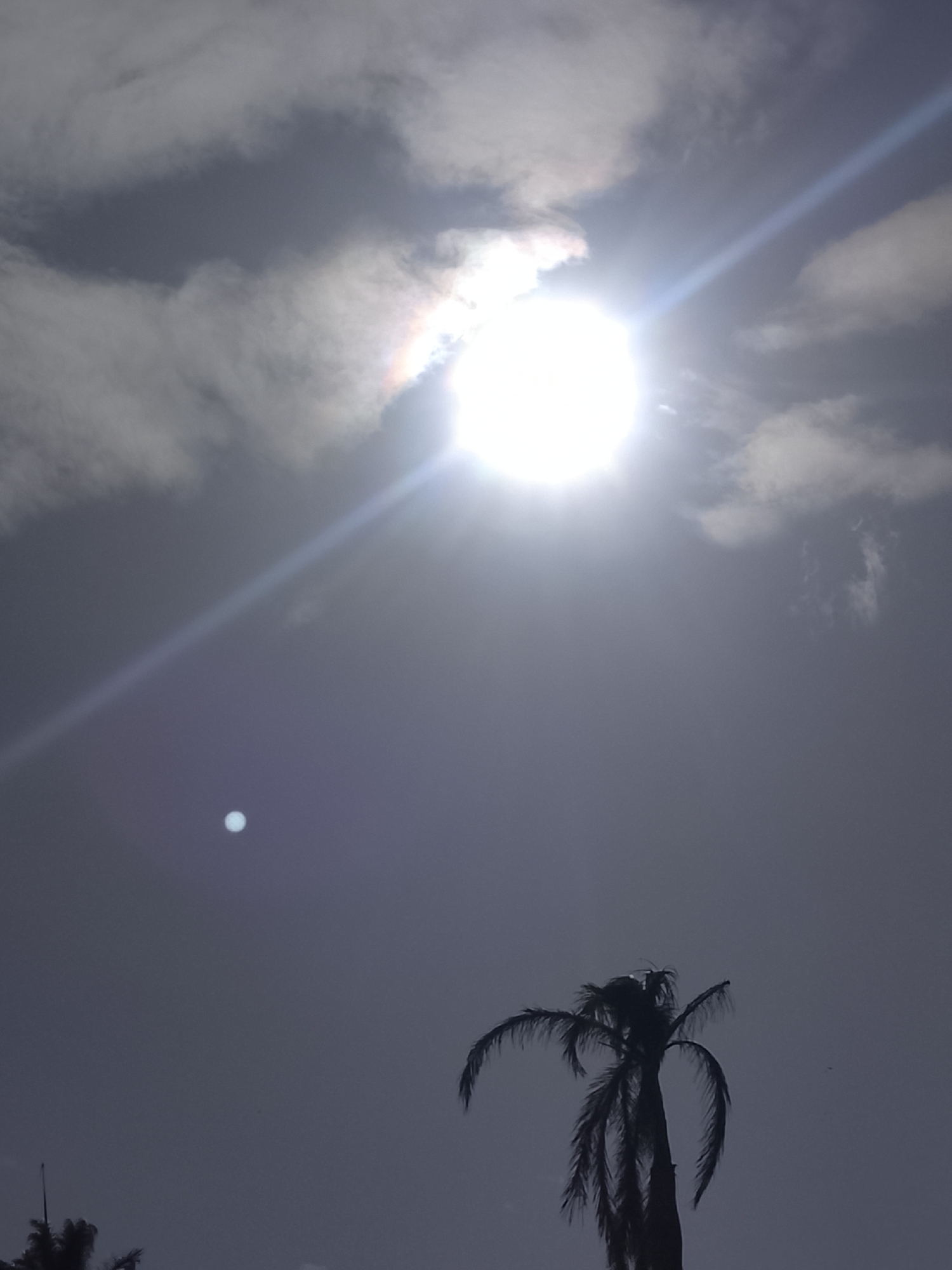 Evening sky watching documented across Altagracia, Venezuela