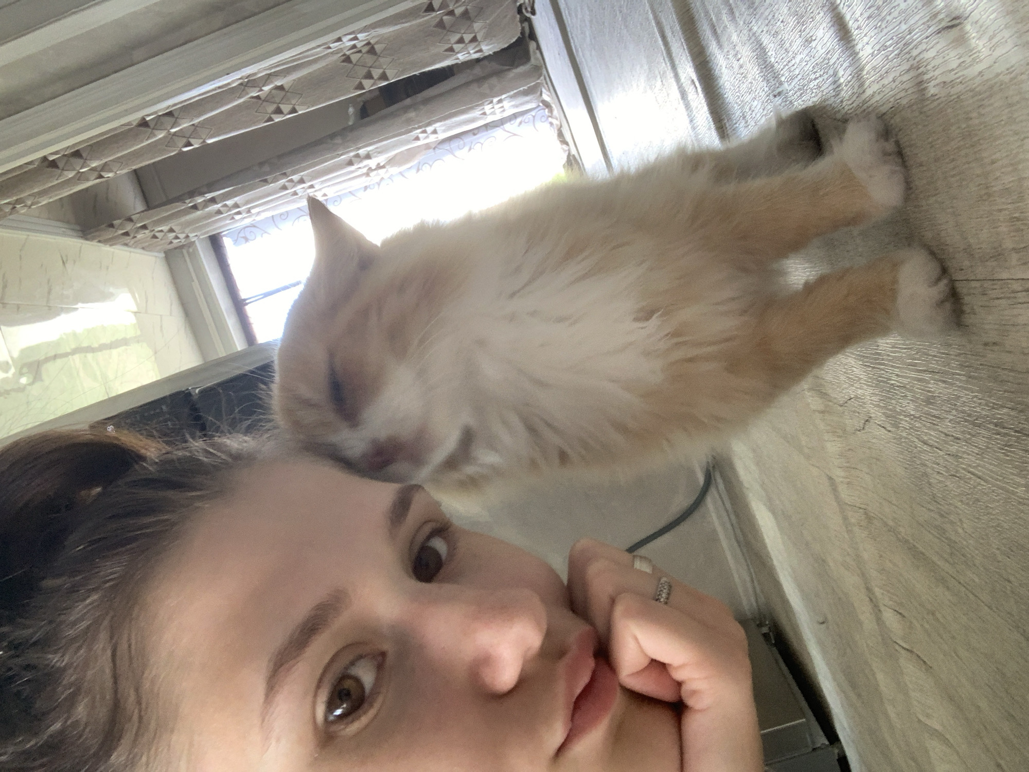 Lazy morning at home with a cat and light housekeeping
