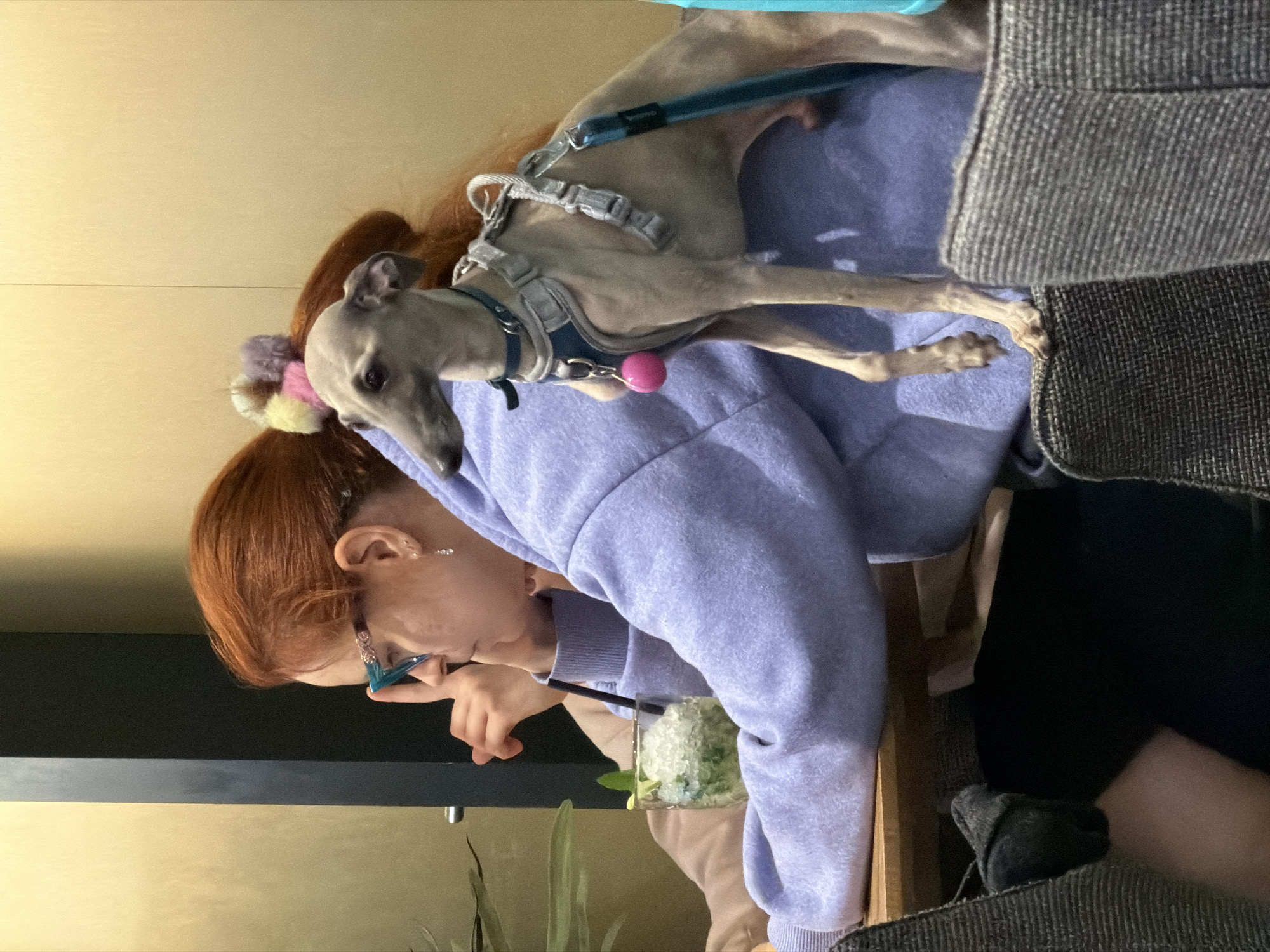 Woman dines with whippet companion at Riga restaurant