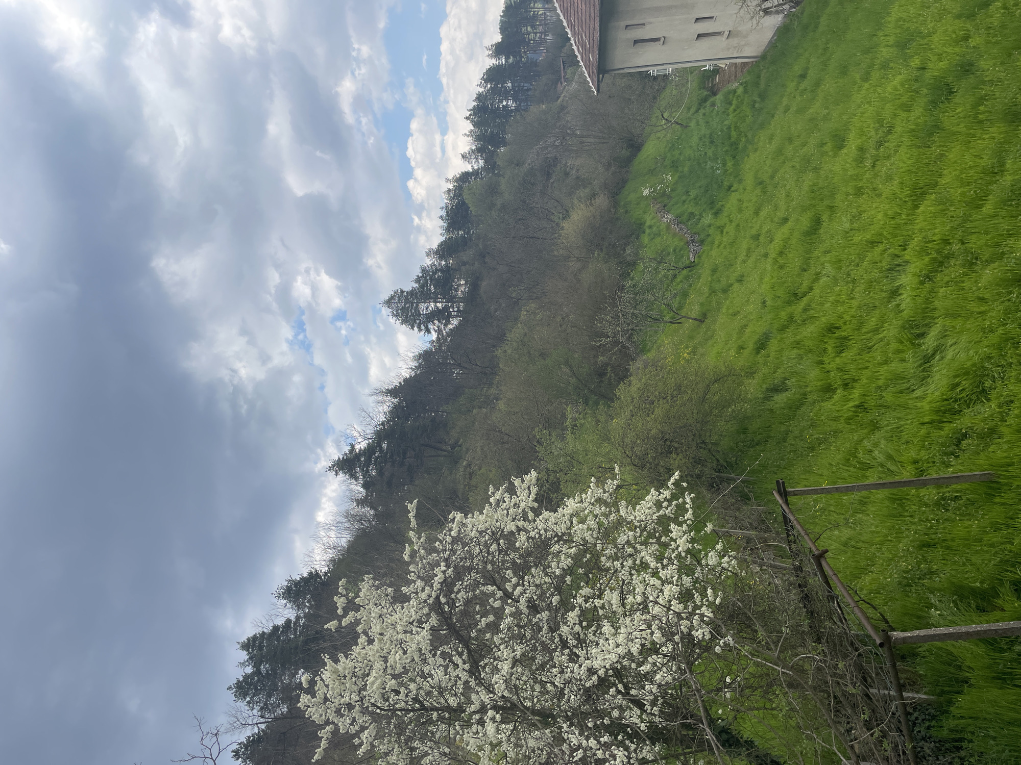 Spring blooms and quiet moments documented in Zlatograd, Bulgaria