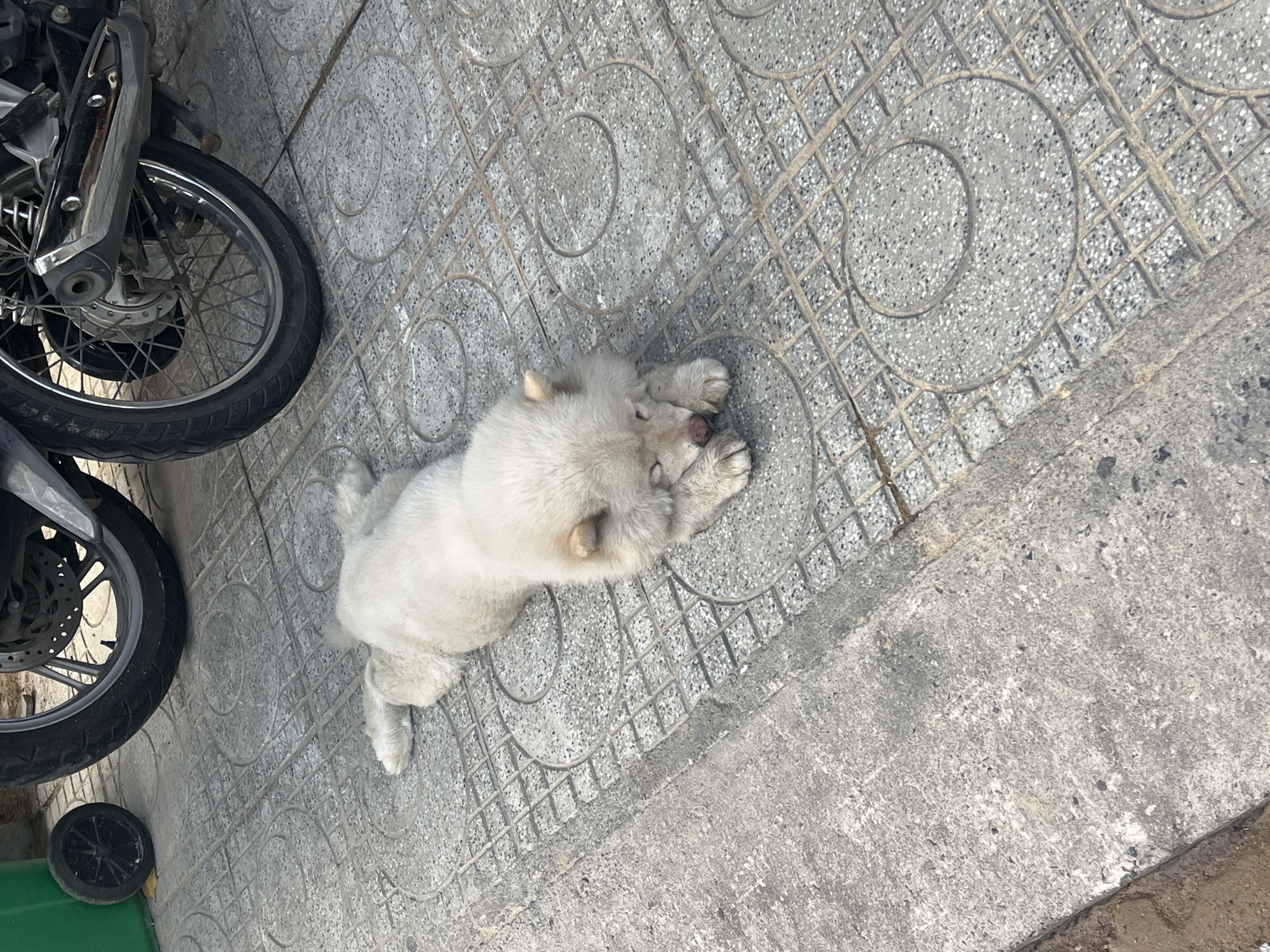 Nha Trang, Vietnam