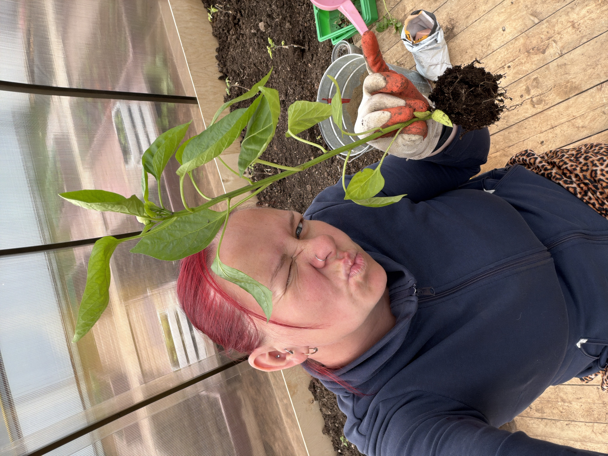 Early morning gardening session documented in Chaikovsky, Russia