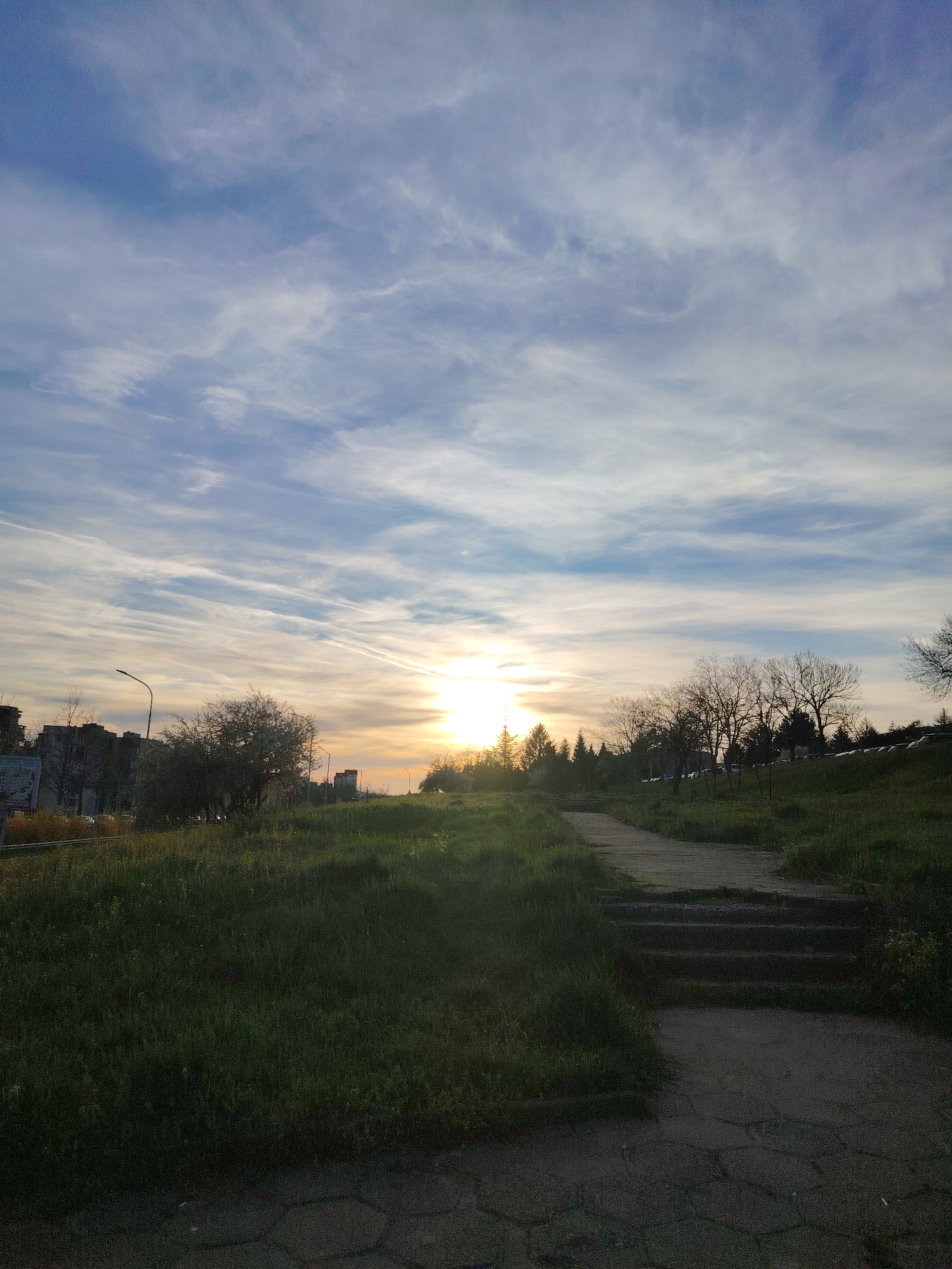 Twilight park scene with dandelion captured in Veliko Tarnovo