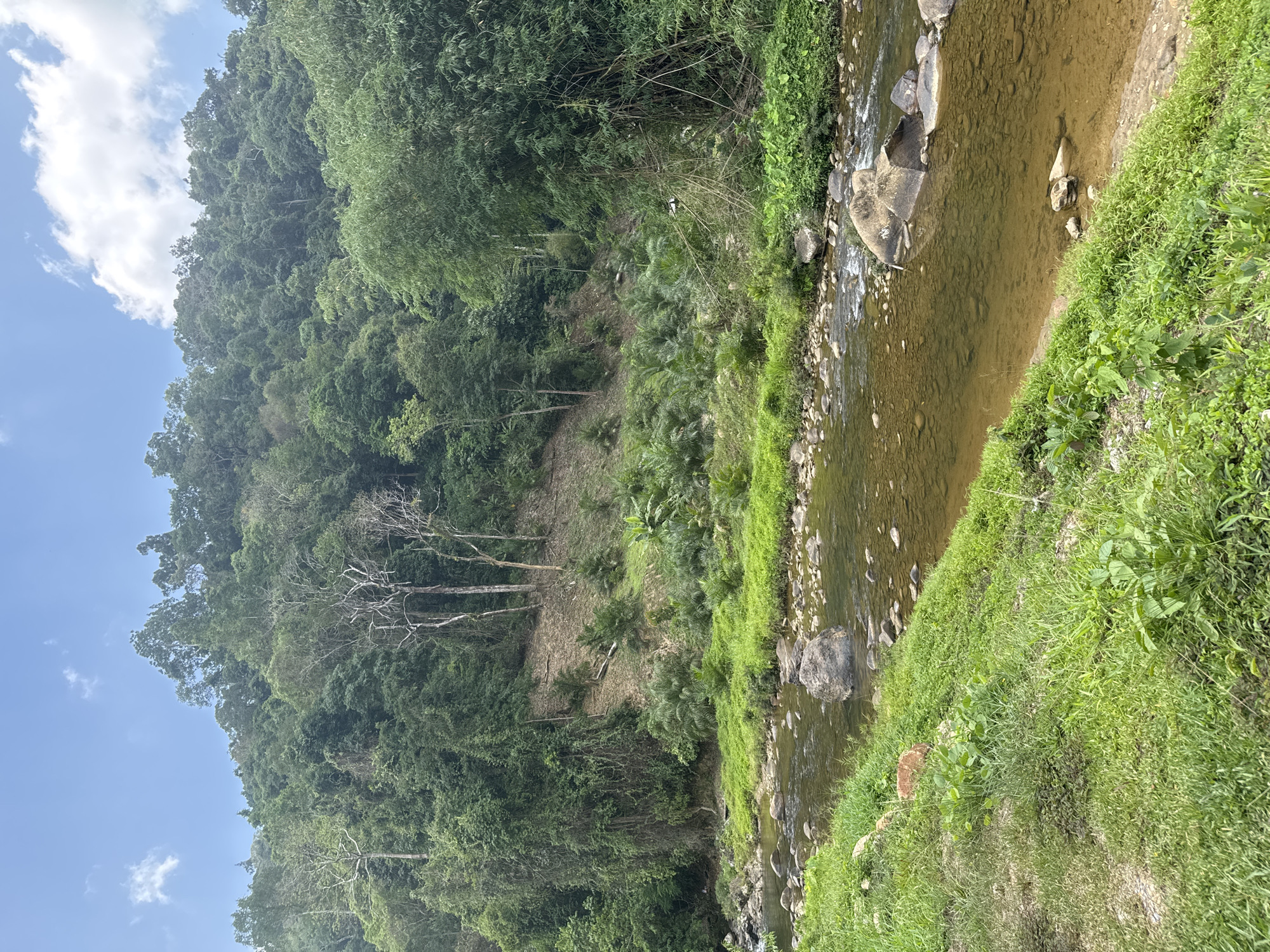 Clear river flows through green landscape in Thailand