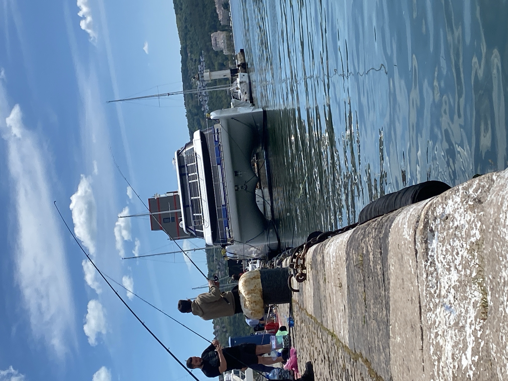 Fishermen catch silver fish from Varna waterfront pier