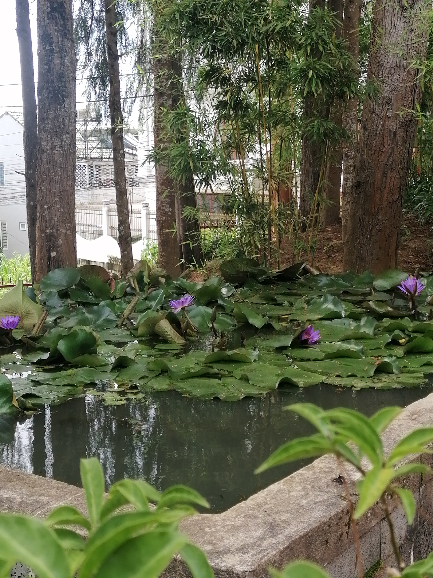Buddhist temple grounds in Da Lat, Vietnam — statues, shrines, gardens