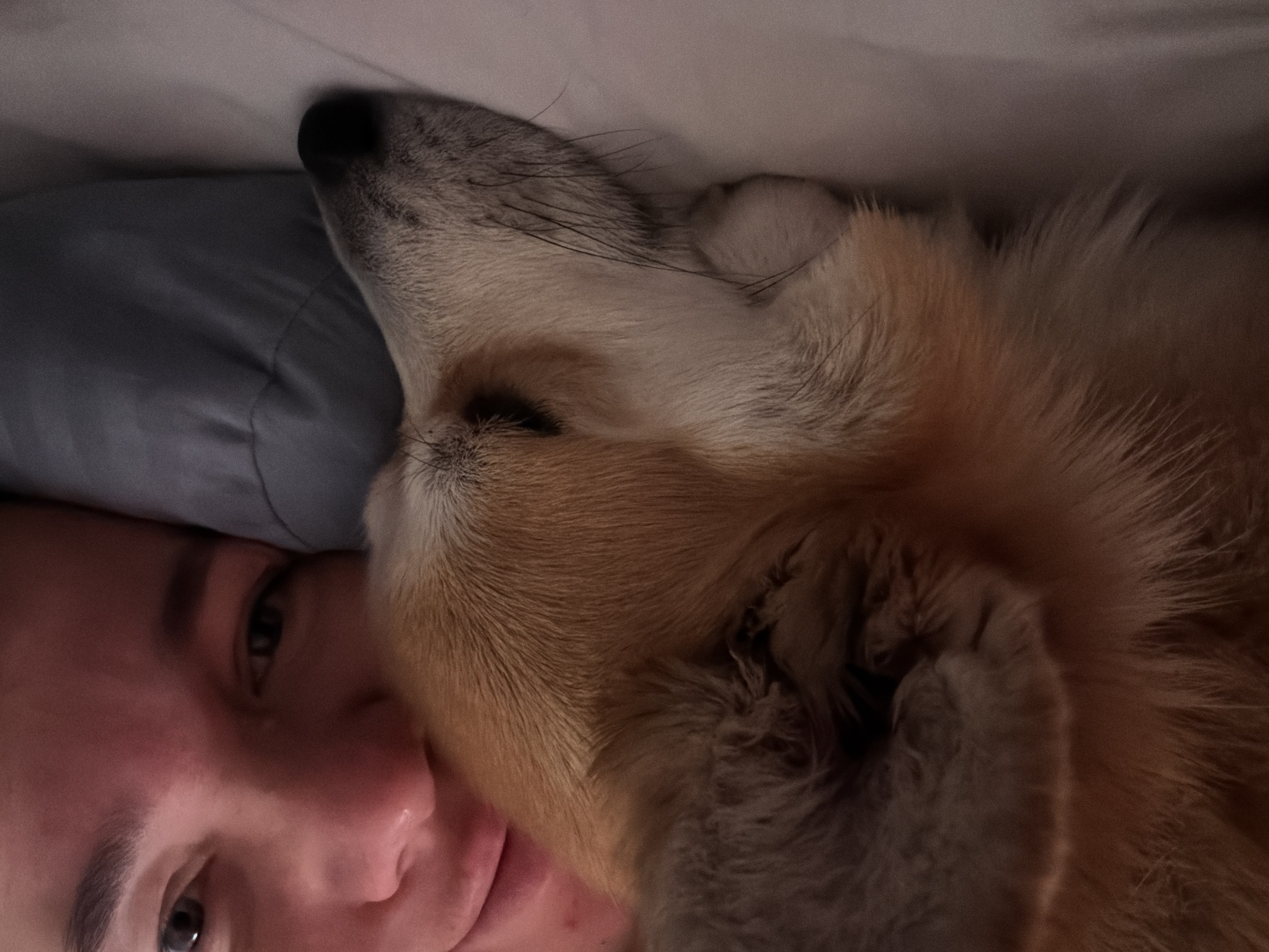Woman and dog share quiet morning moment in Chaikovsky