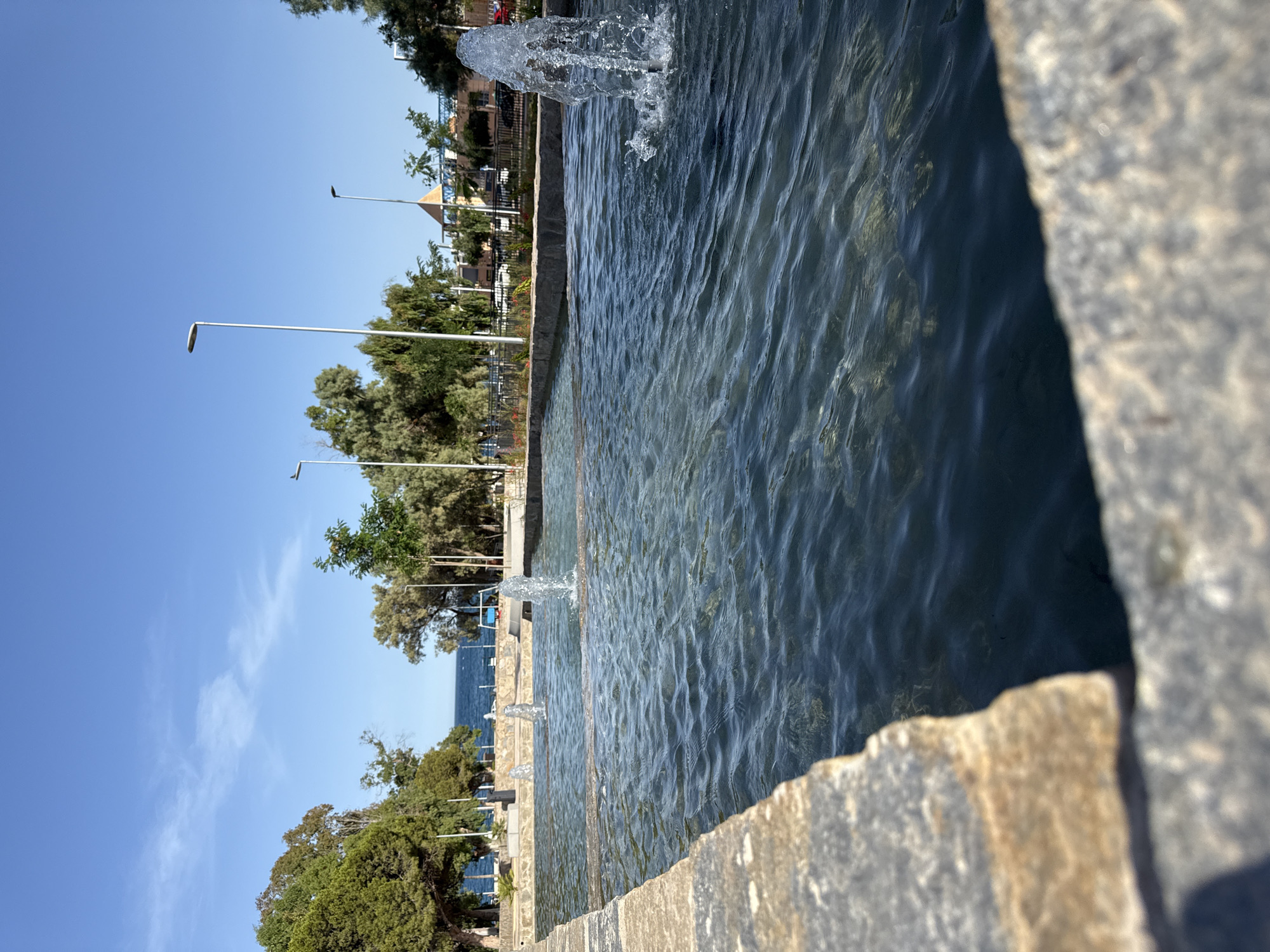 Afternoon out in Aguadulce with a dog along for the walk
