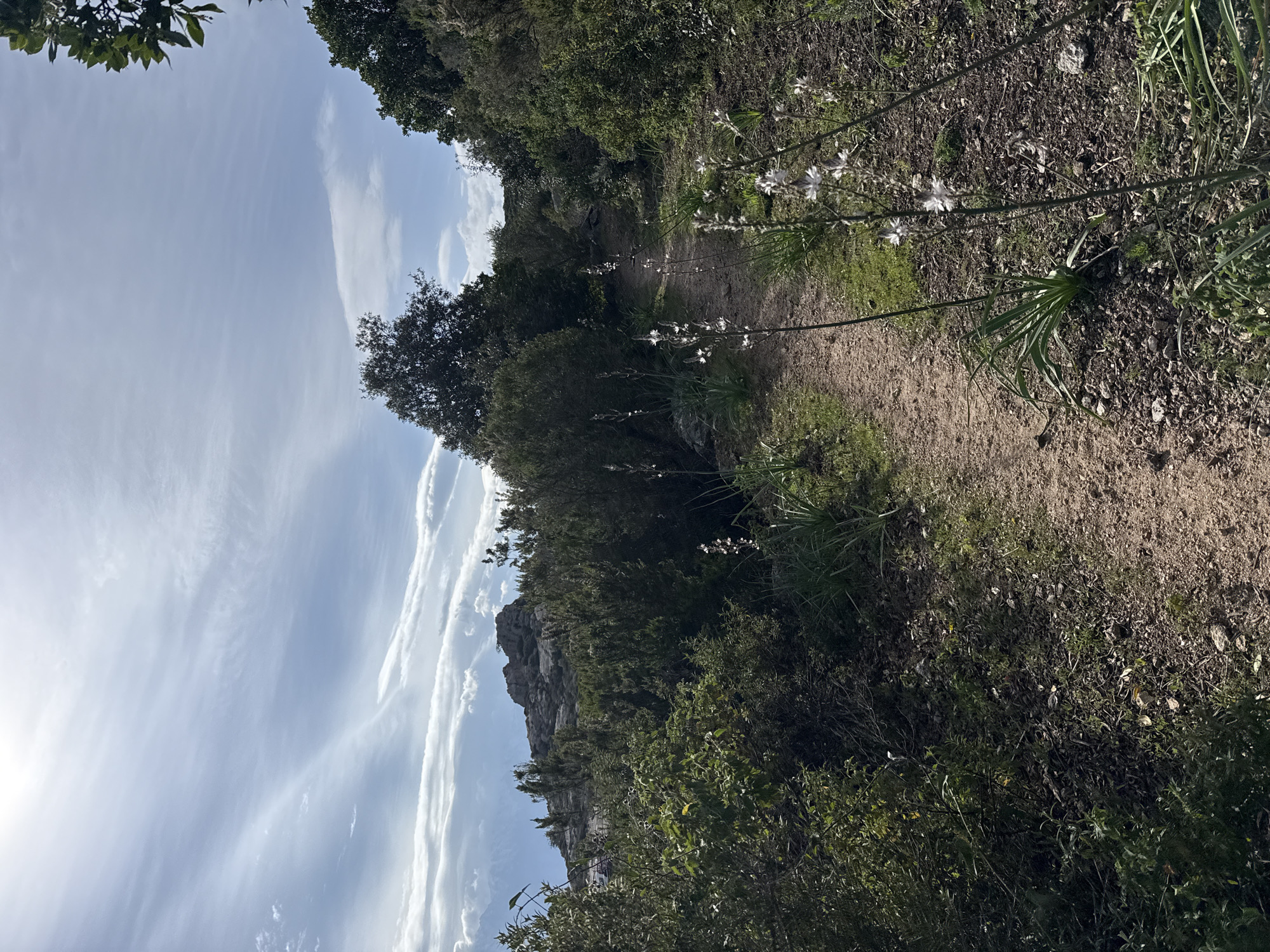 Hiking trail captured in Calvi, France
