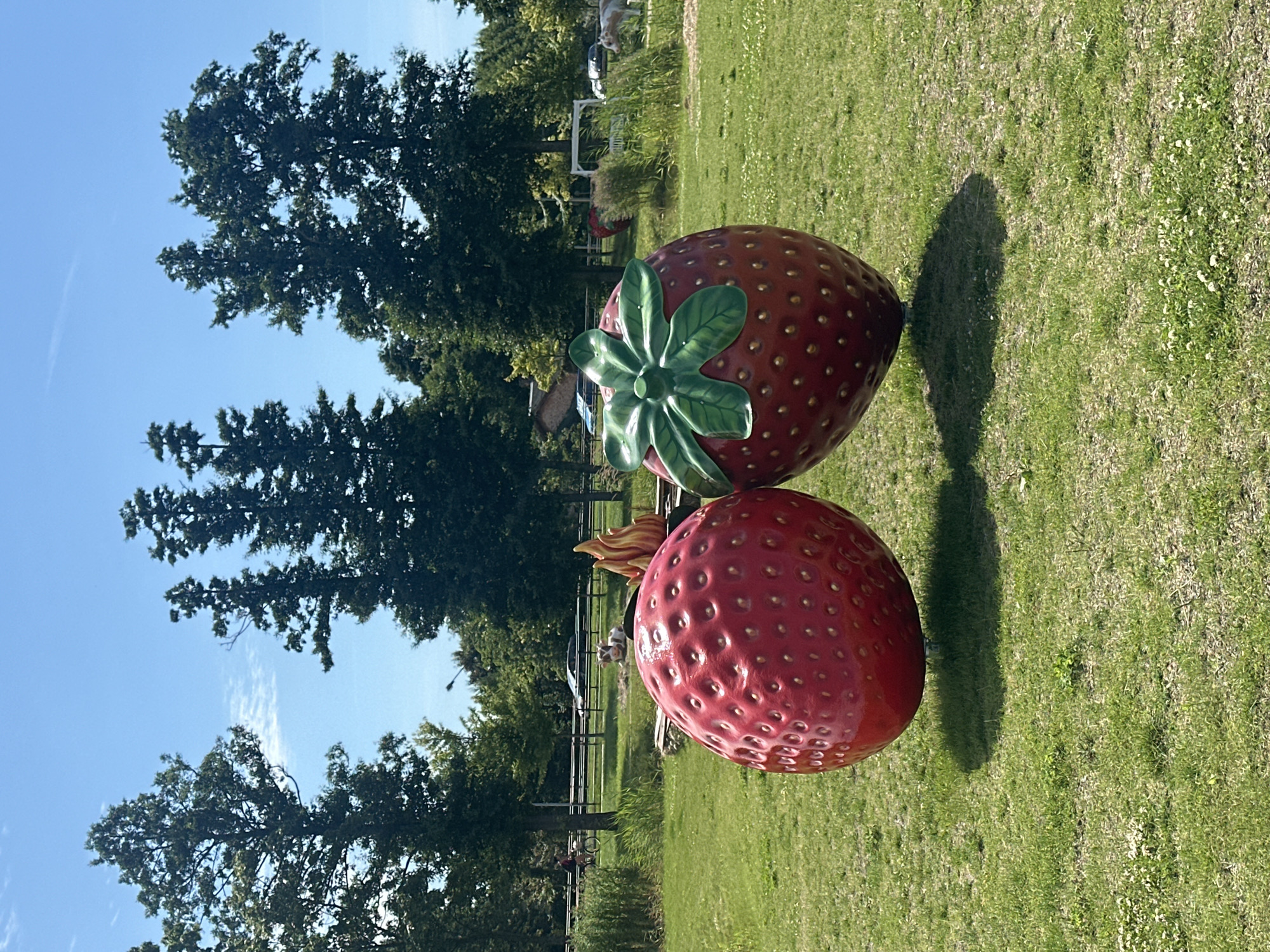 Quirky sculpture park with giant strawberries and cow figurines in Liepāja