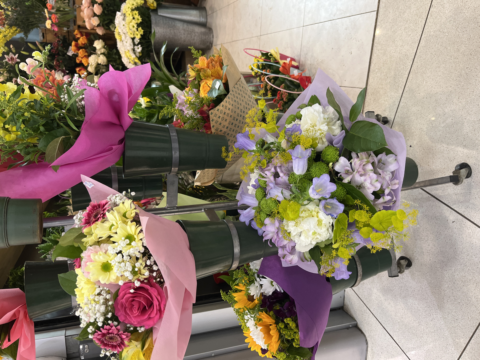 Urban snapshots capture flower shops, malls, parks in unknown city