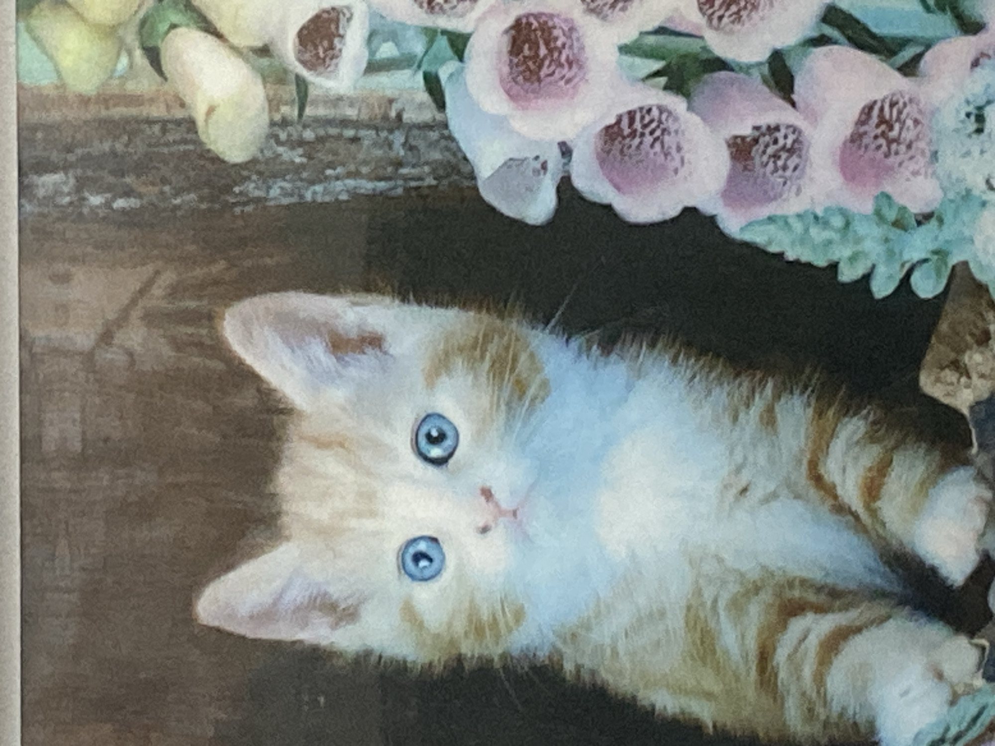 Pets, crafts, and Almaty cityscapes on a June morning