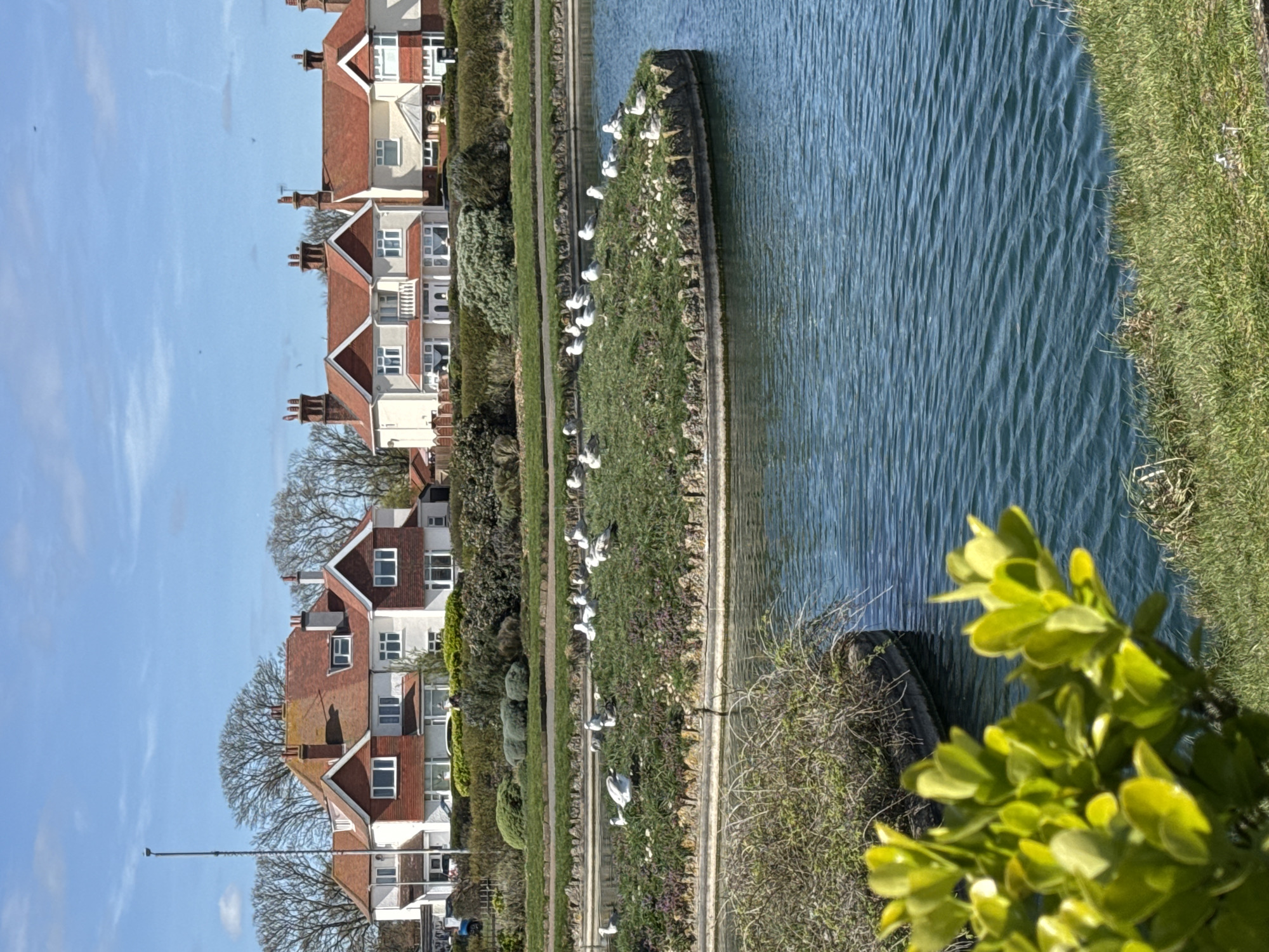 Canal scene documented in Great Yarmouth showing residential waterway
