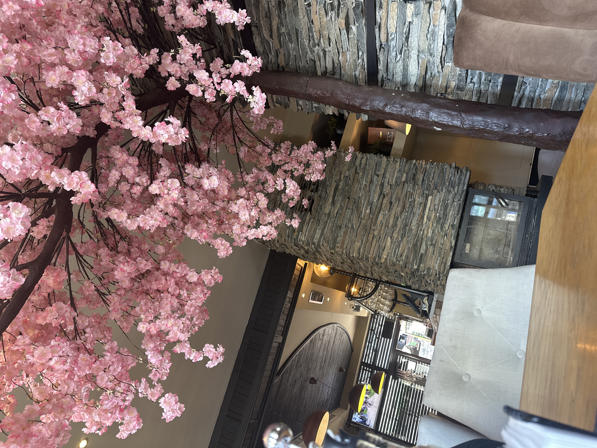 Restaurant interior with artificial cherry blossoms documented in Razlog