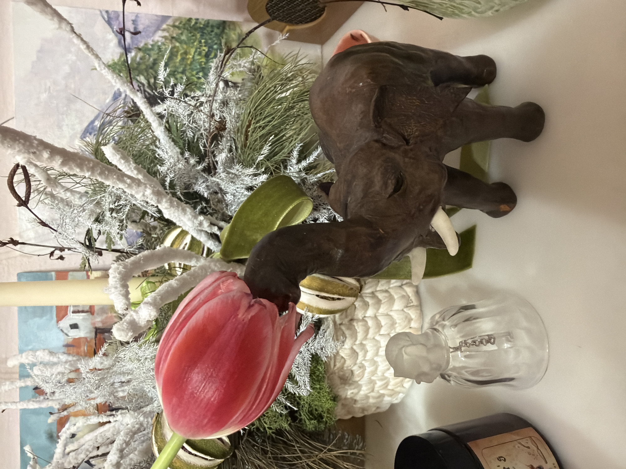 Indoor decorative arrangements and houseplant displays photographed in Belgrade