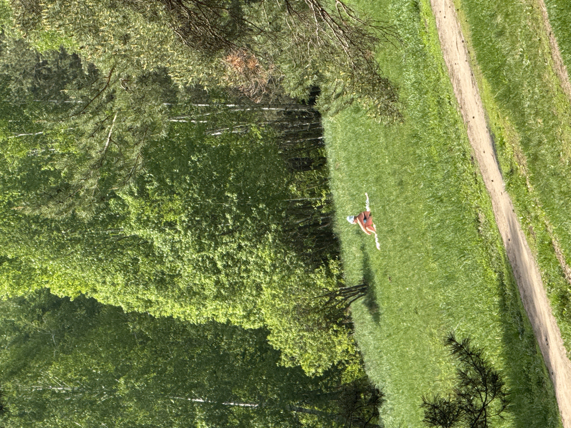 Morning forest scenes documented in Kazan, Russia