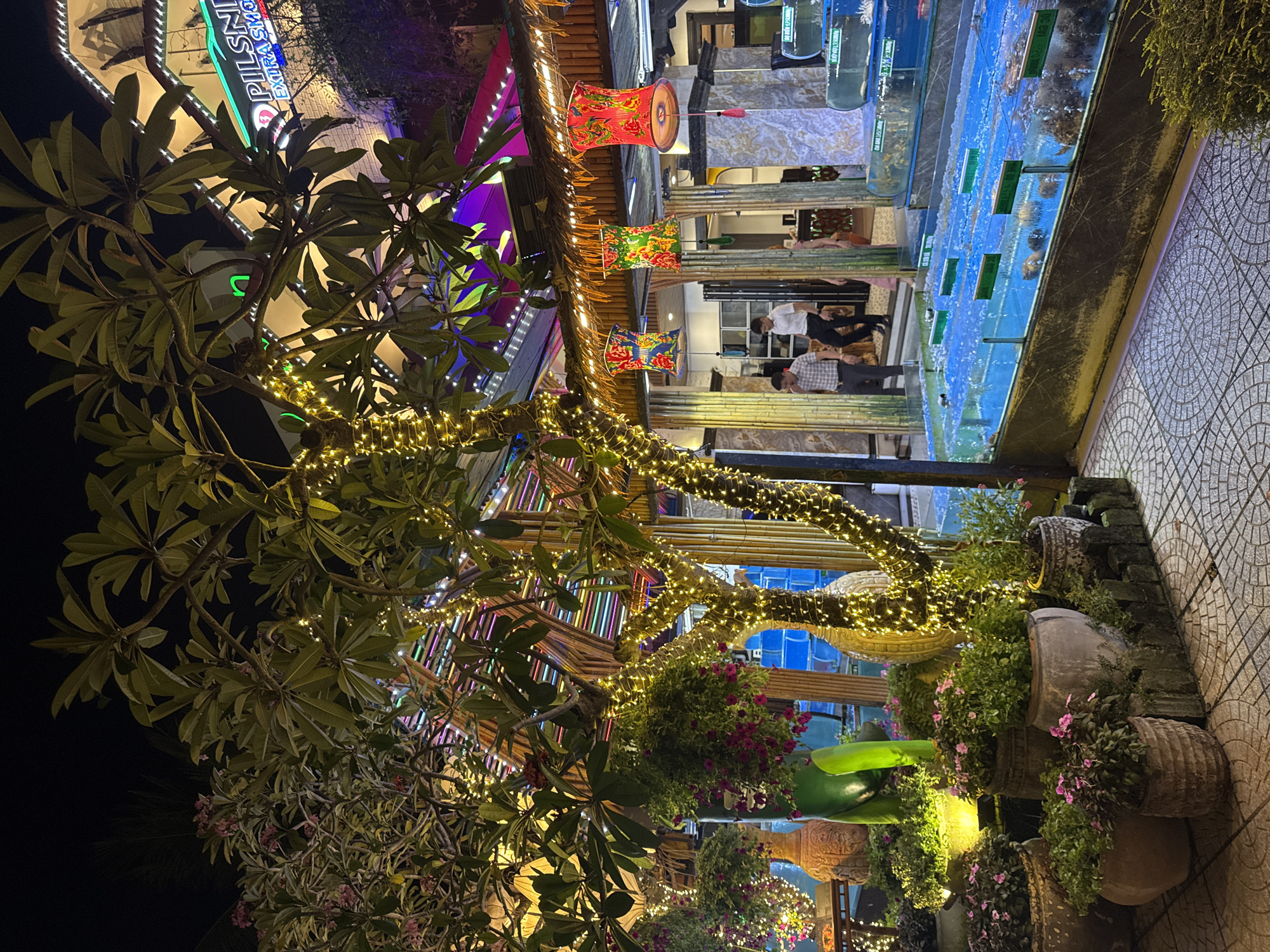 Nighttime restaurant district activity documented across Đà Nẵng, Vietnam