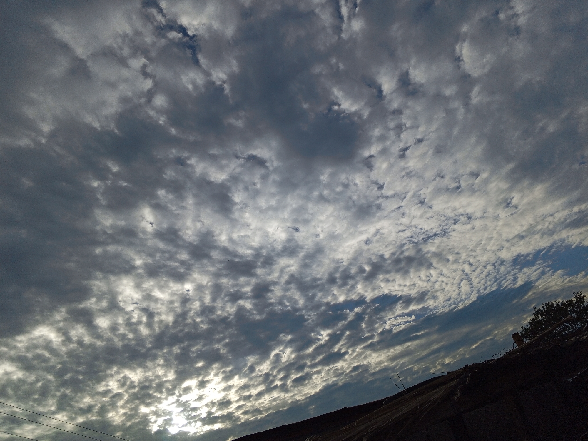Witness documents cloudy evening sky with utility poles