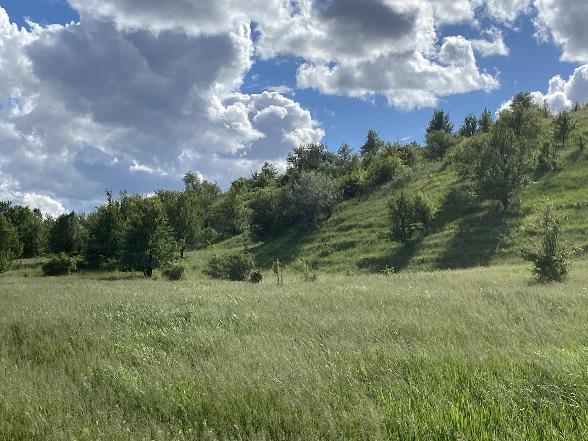 Rural landscape documented in Ustyvytsia, Ukraine countryside
