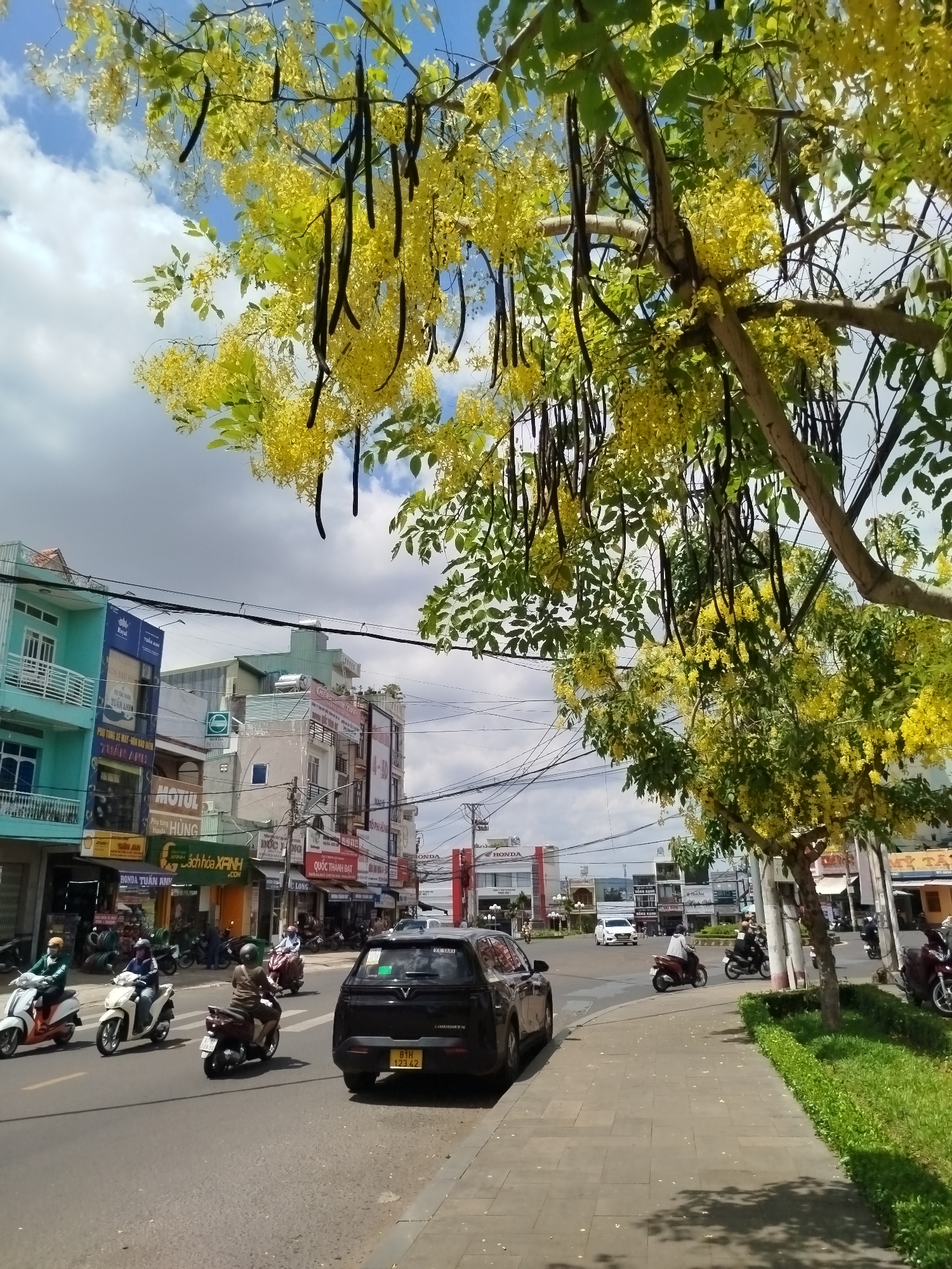 Early morning documentation tour of Pleiku Ward religious and urban sites