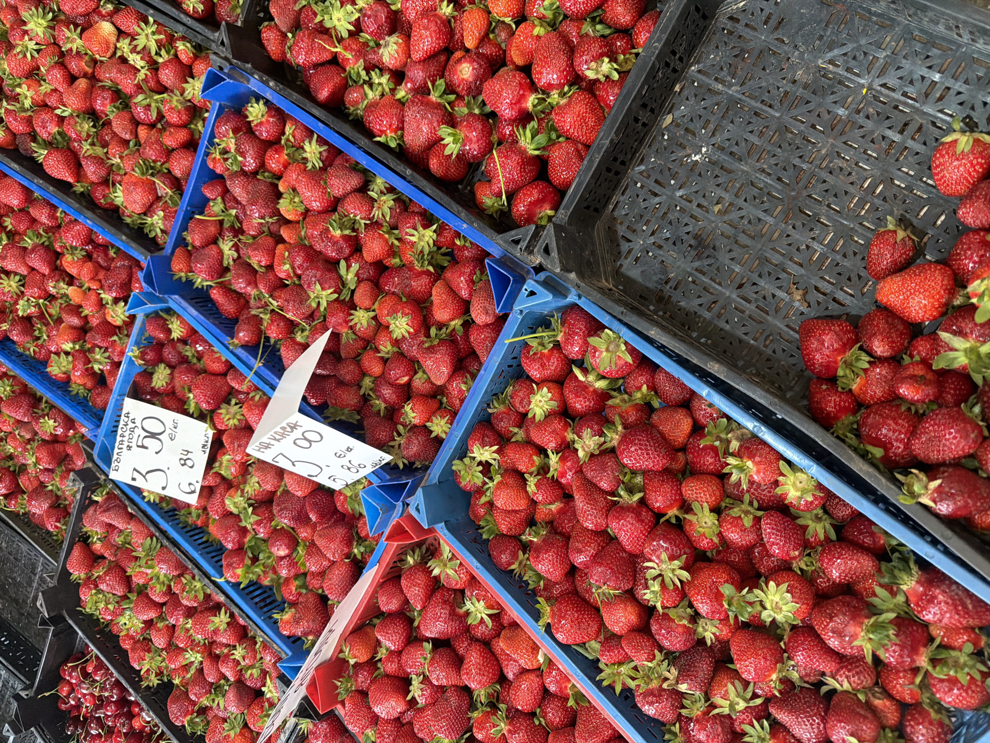 Fresh produce market documented in Ruse, Bulgaria morning hours