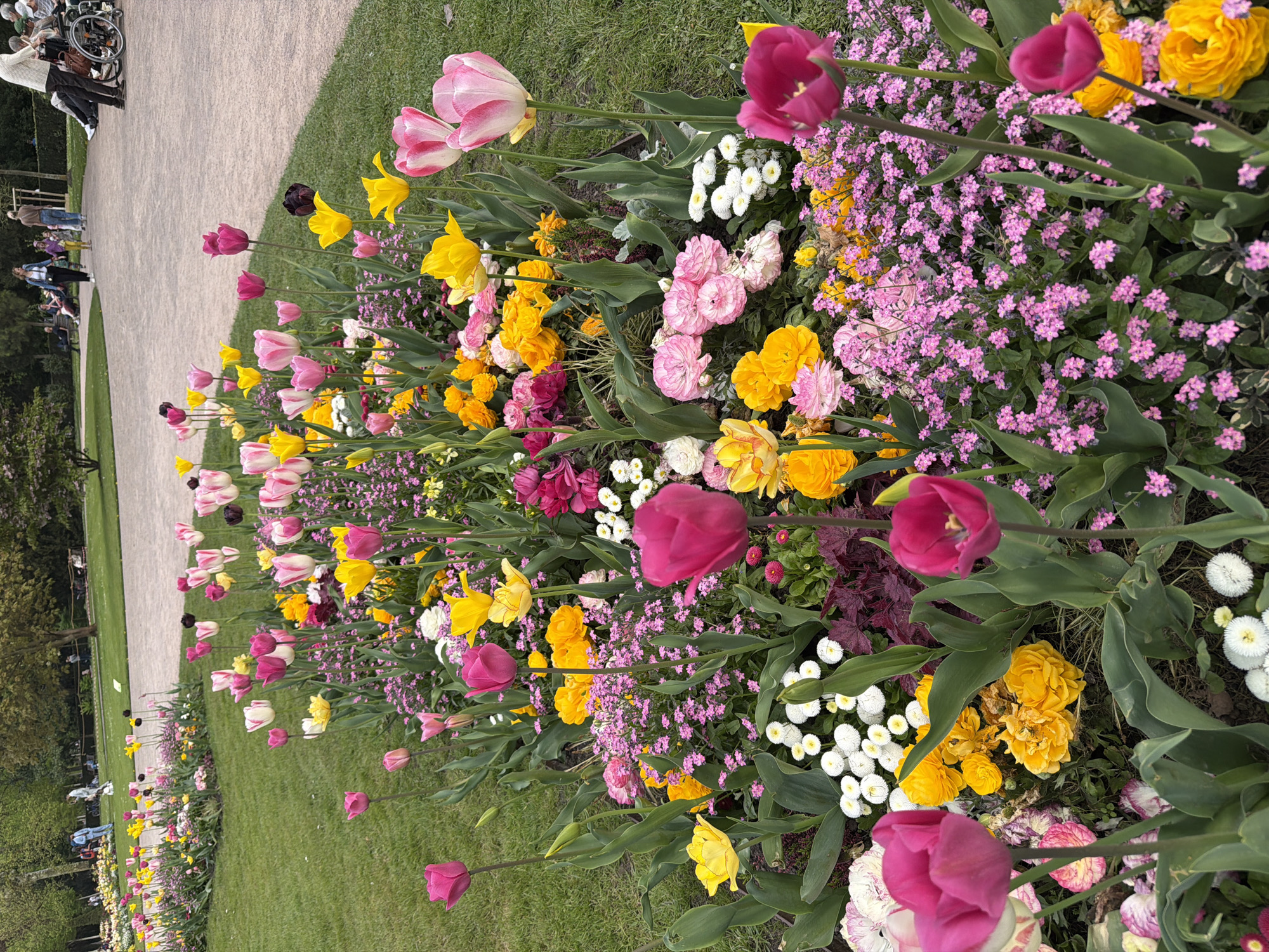 Spring afternoon documented across Strasbourg parks and Council of Europe
