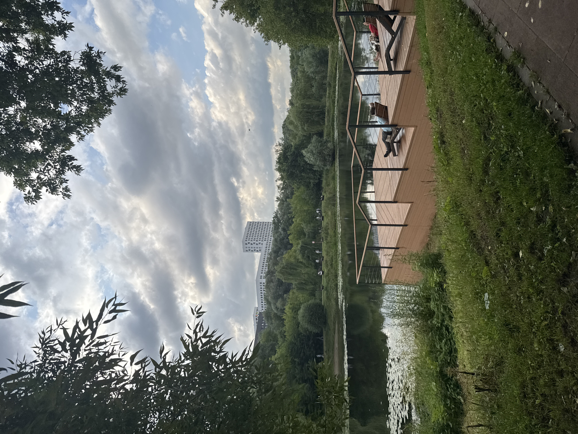 Quiet afternoon at a Moscow park pond