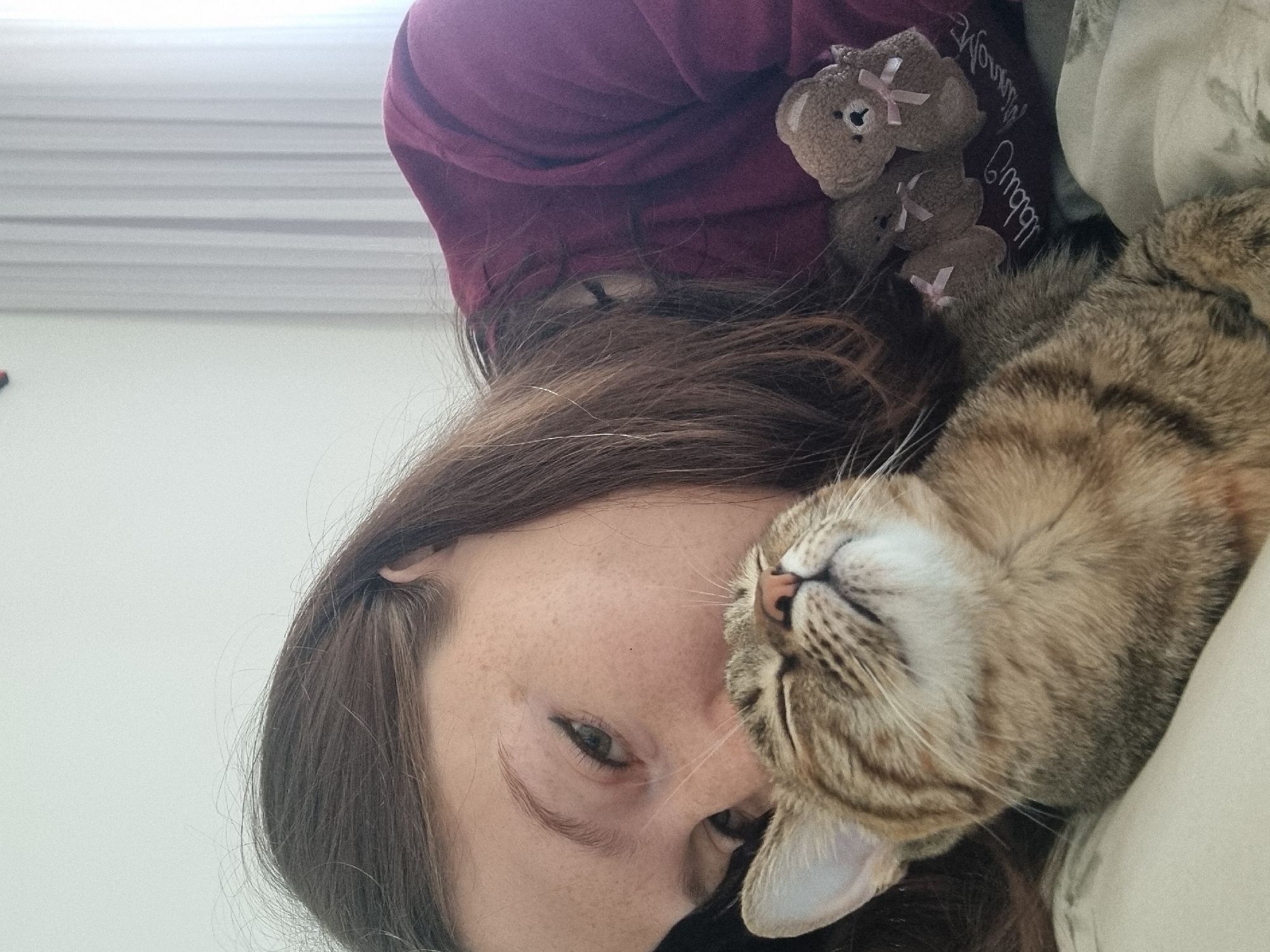 Person shares quiet morning moment with tabby cat in Ramat Gan