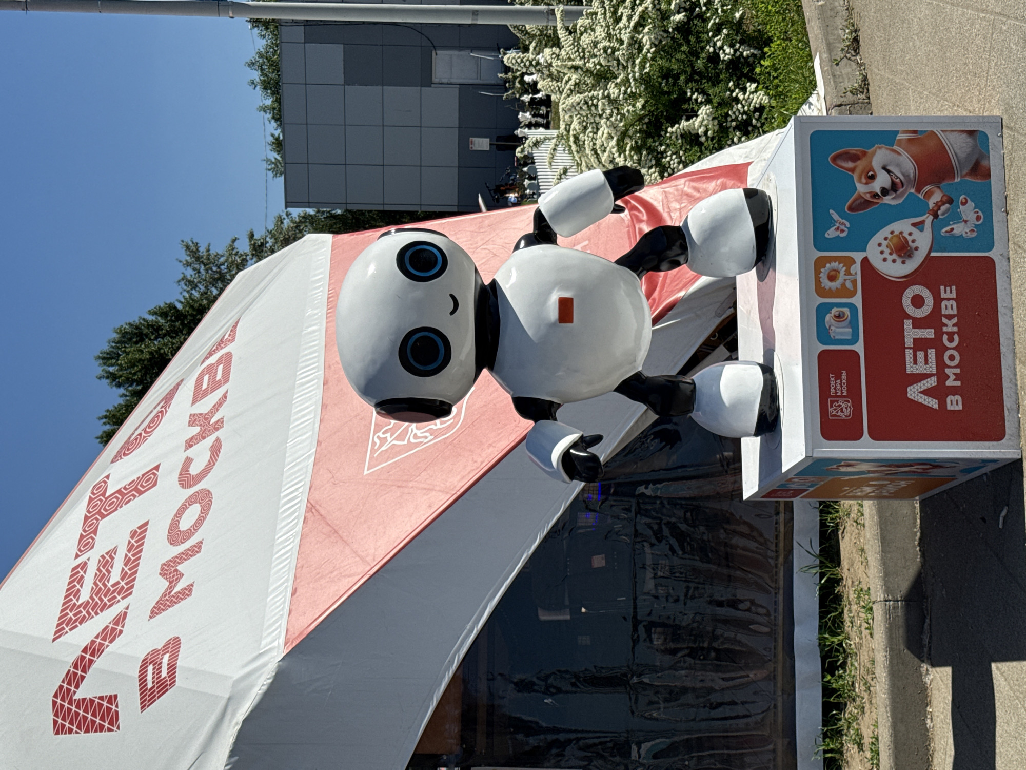 Summer activities begin early morning across Moscow venues