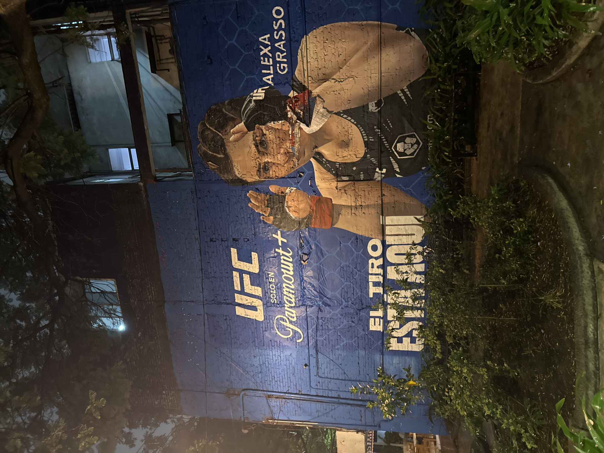 UFC Mural, Local Bar Documented in Mexico City