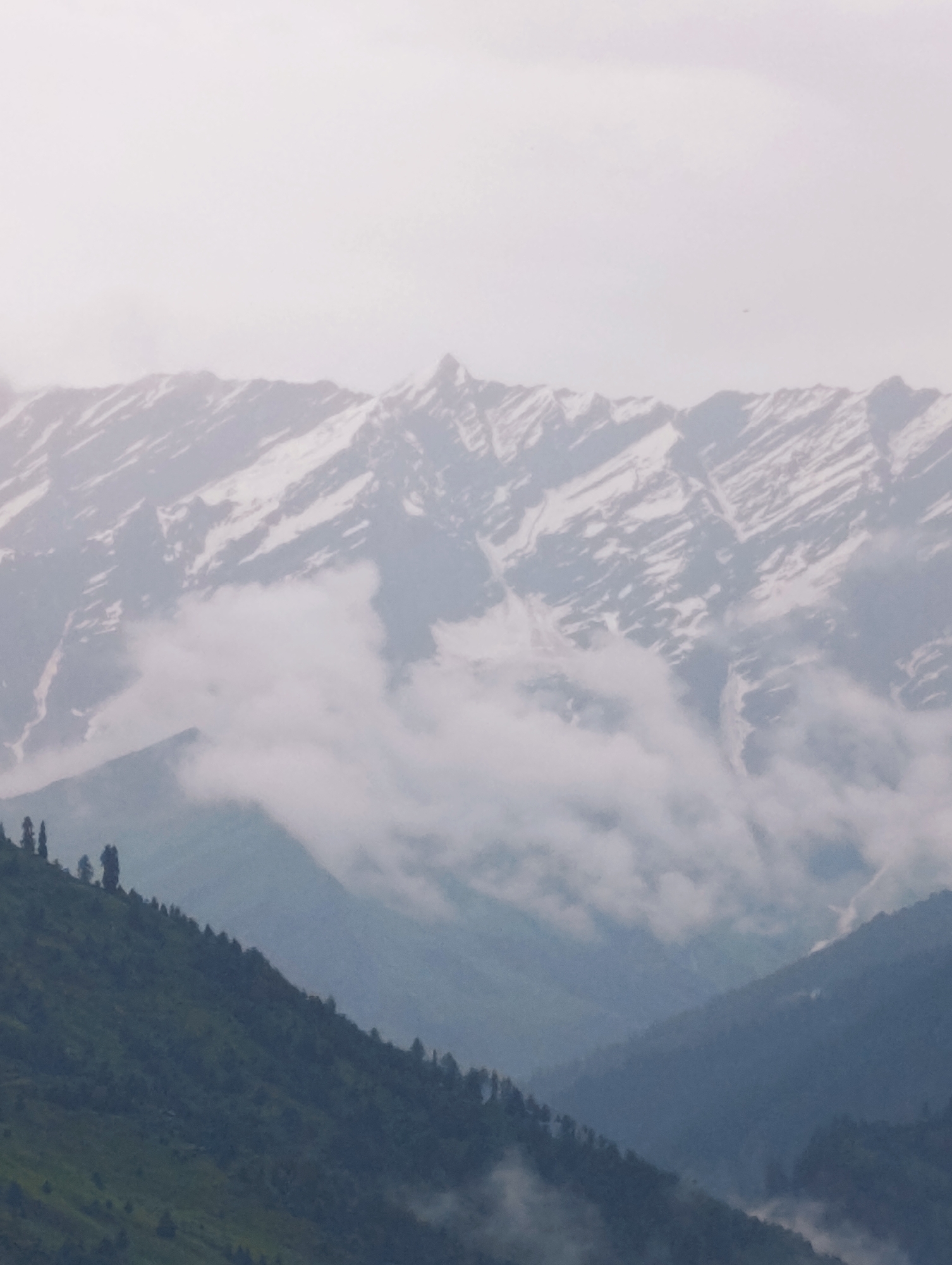 Mist, forest, and river along the Vashisht valley