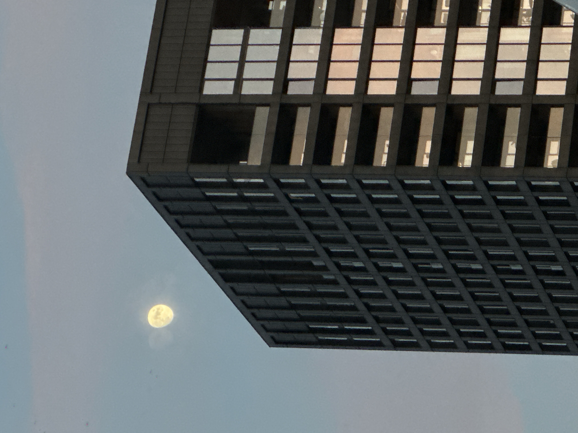 Amsterdam resident documents evening of ordinary urban moments