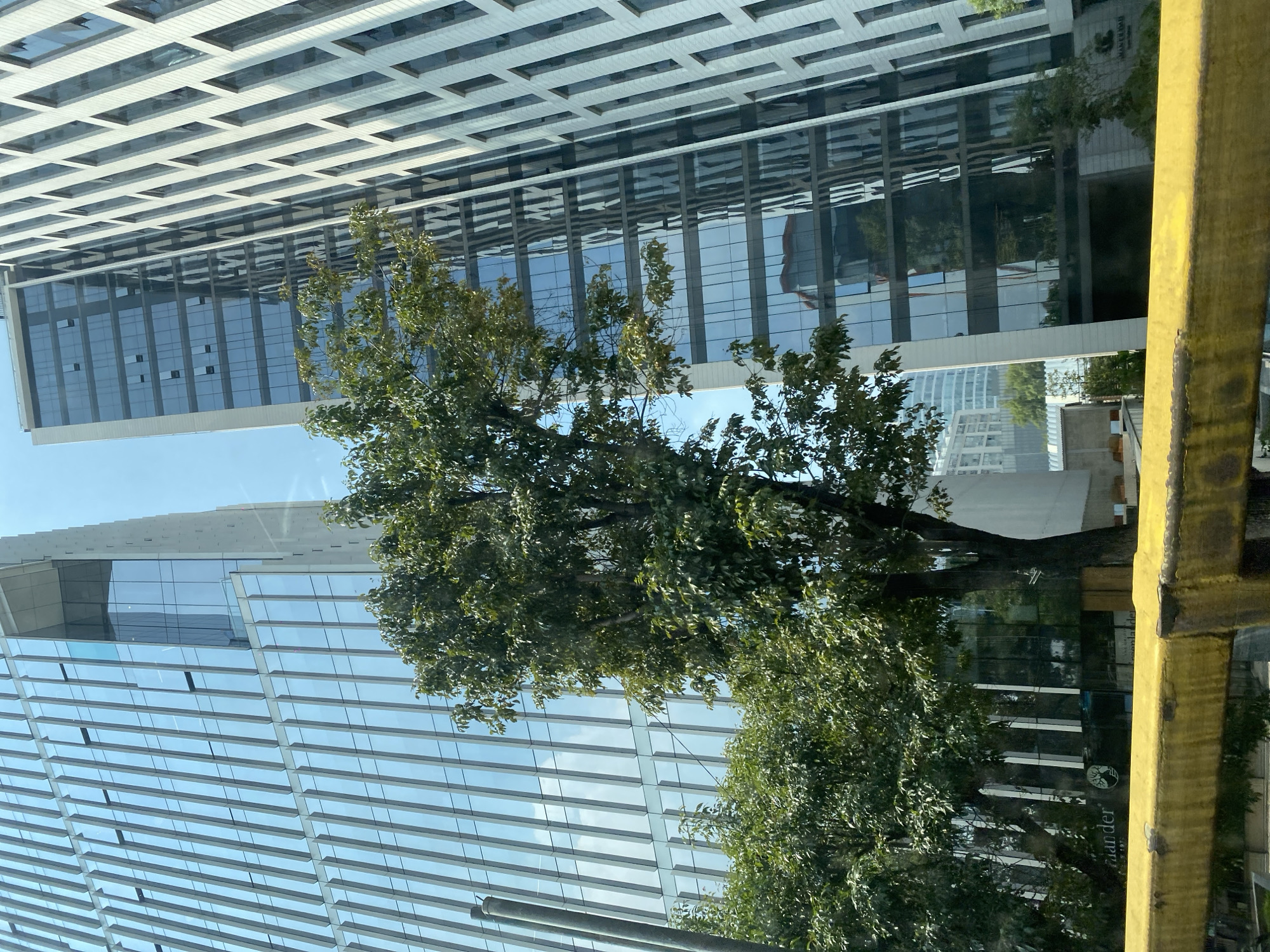 Modern glass skyscrapers observed in urban business district