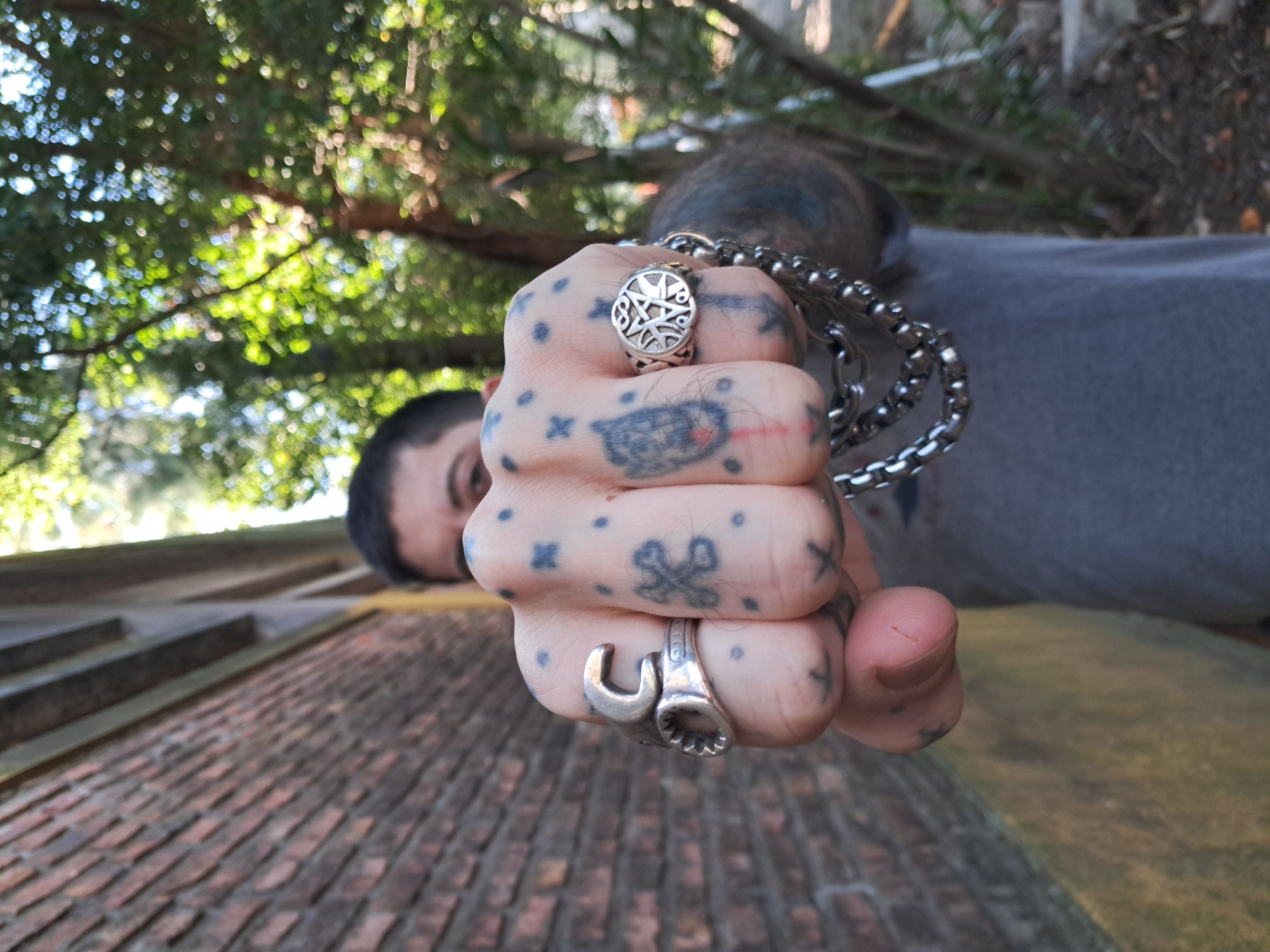 Tattooed fist and maroon flower photographed in Vicente López