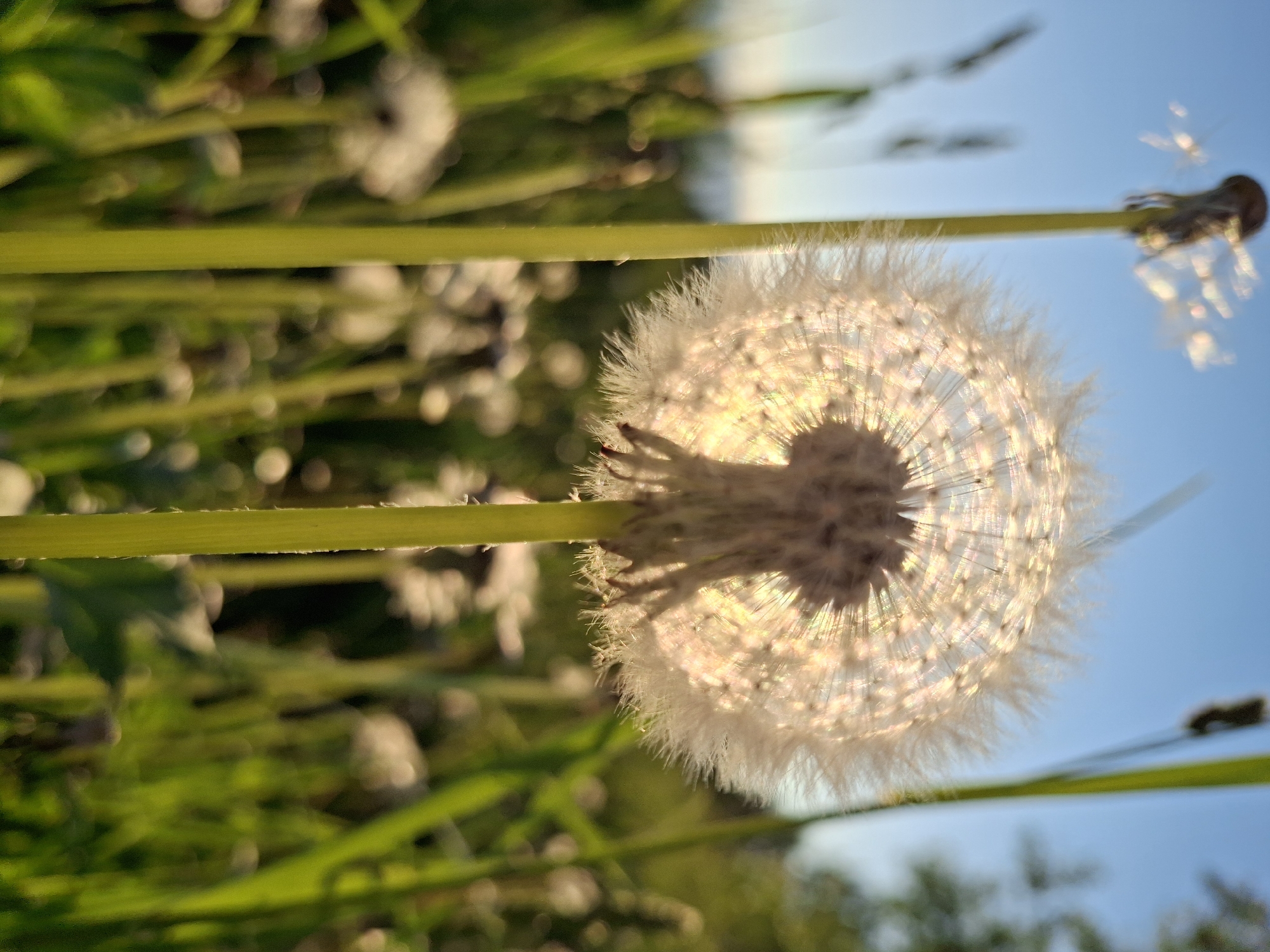 Nature photography session captured in Chaikovsky, Russia