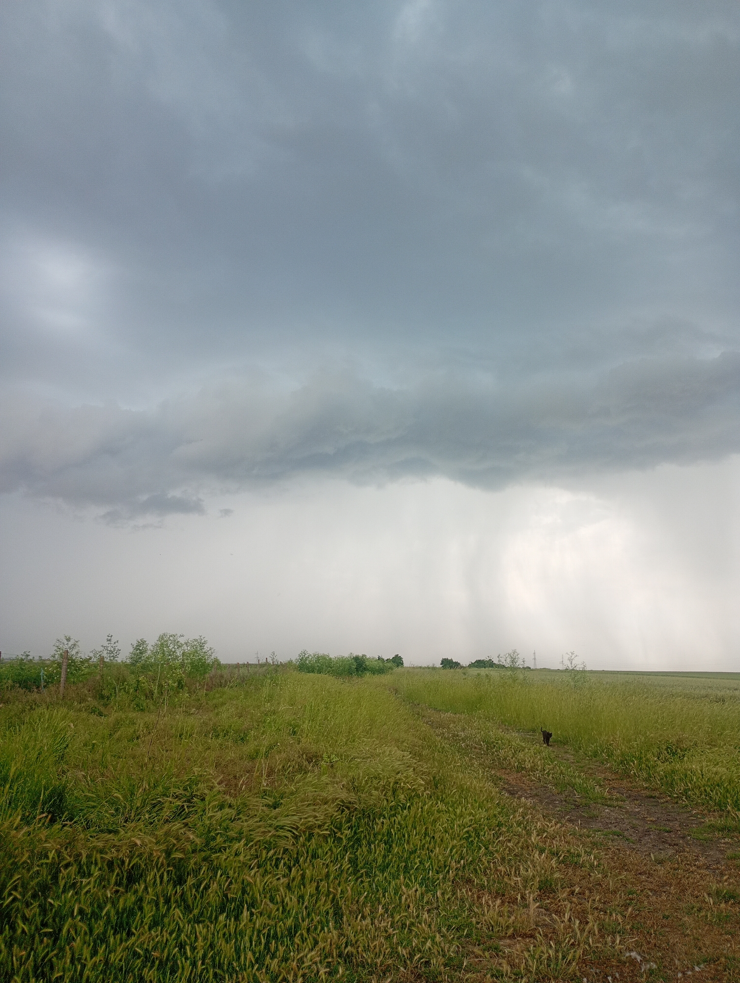 Storm approaches rural Bulgaria farmland, rain visible distance