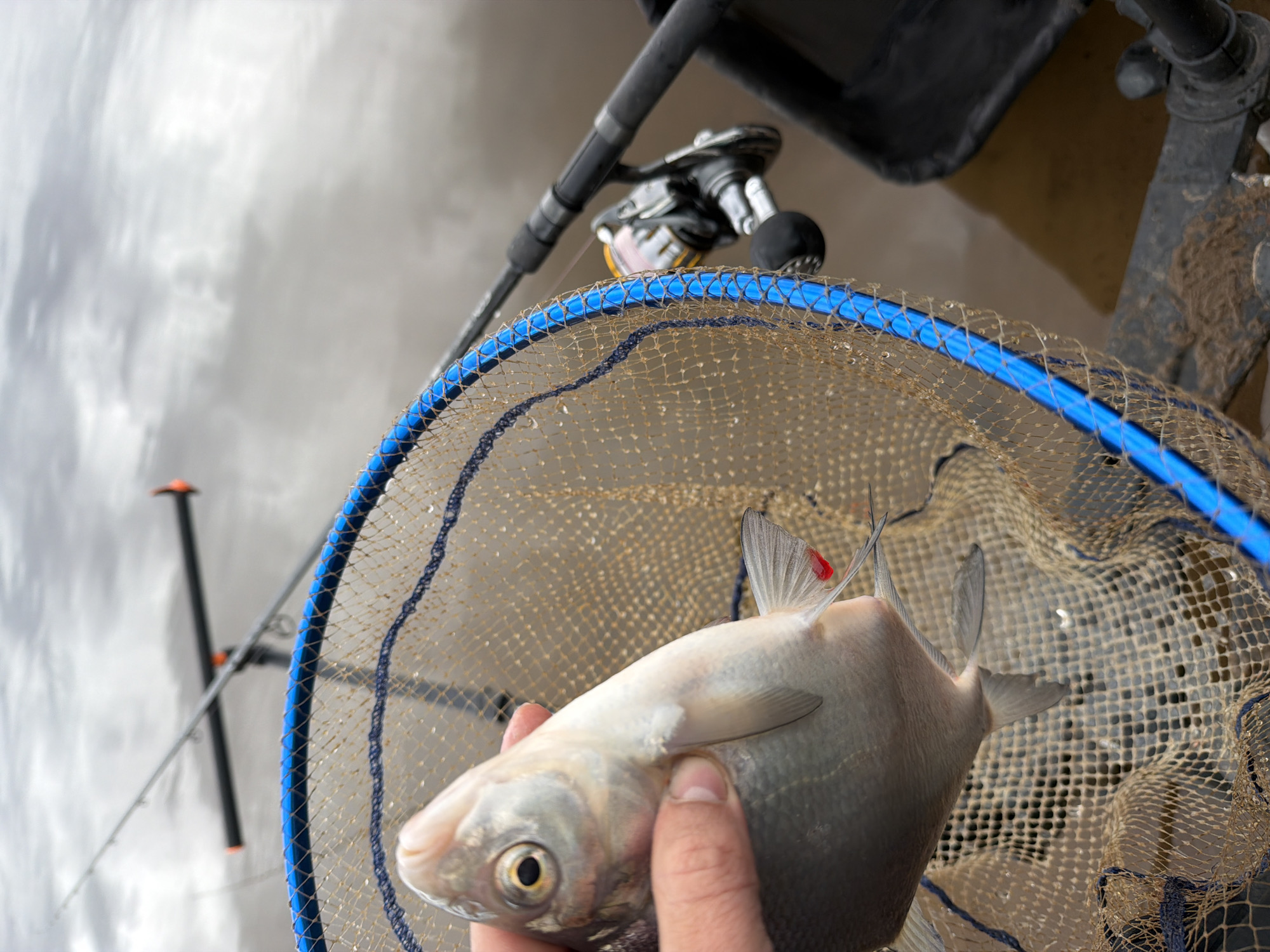 Early morning fishing trip yields multiple catches in Chaykovsky