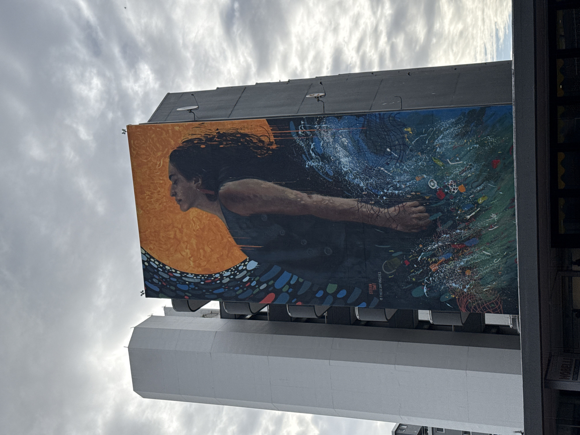 Cape Town street art and plant displays documented