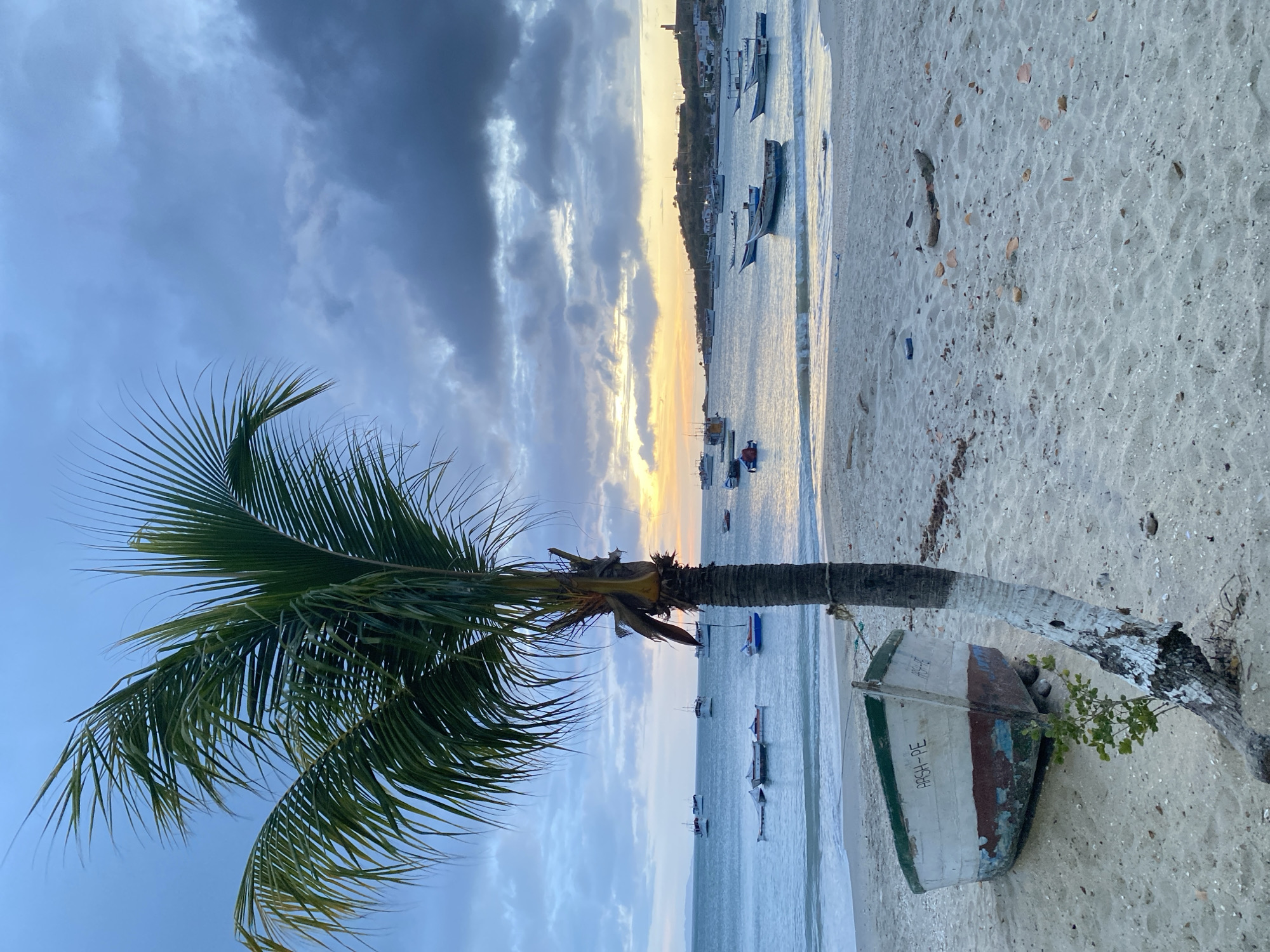 Seashell art arranged on Venezuelan beach during sunset hours